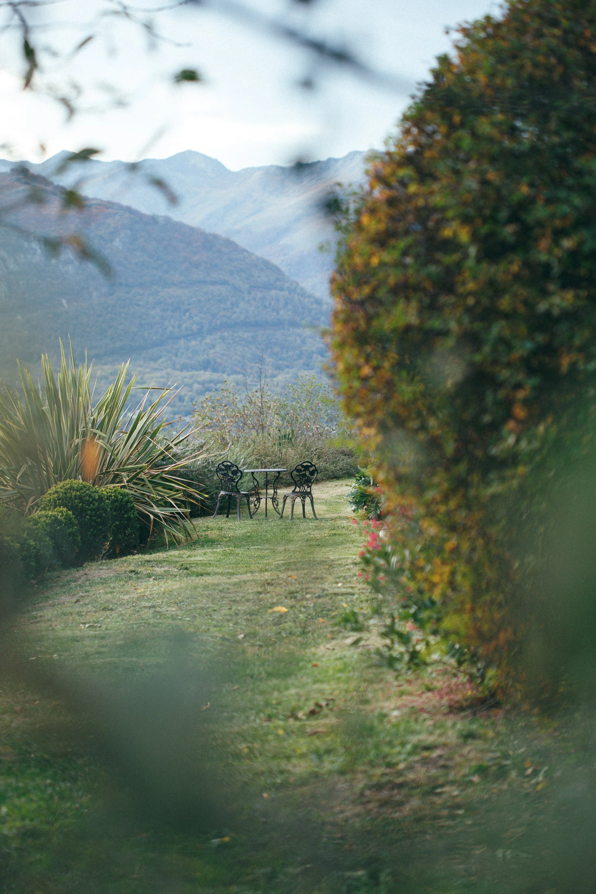 Vue d'un jardin avec des chaises et une table en fer forgé, entouré de plantes et d'arbustes, avec des montagnes en arrière-plan.