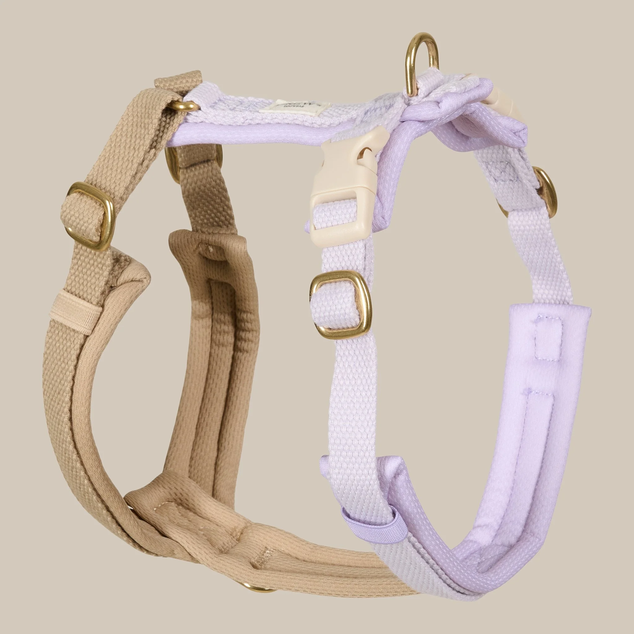 Drews Dogwear 02 09 2025_6068.jpg
