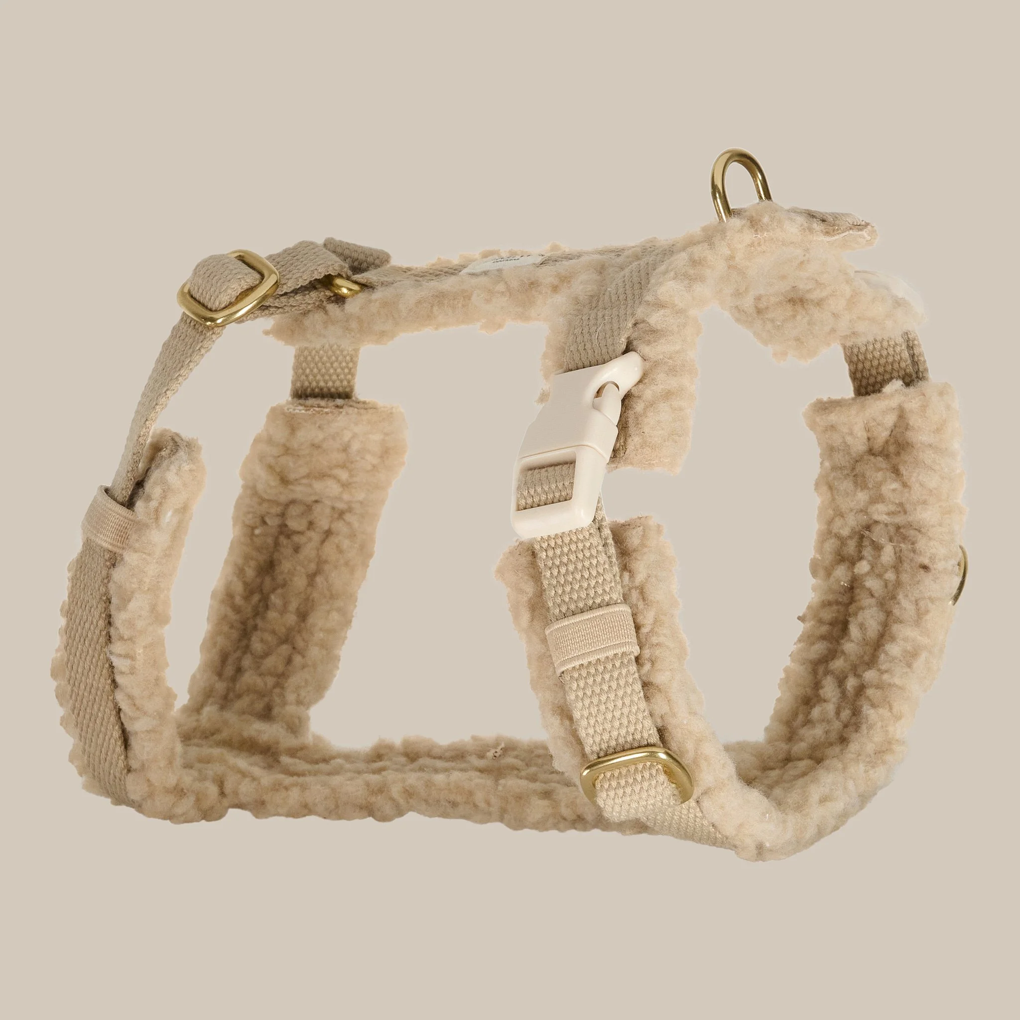 Drew_s dogwear 07 02 2026_9842.jpg