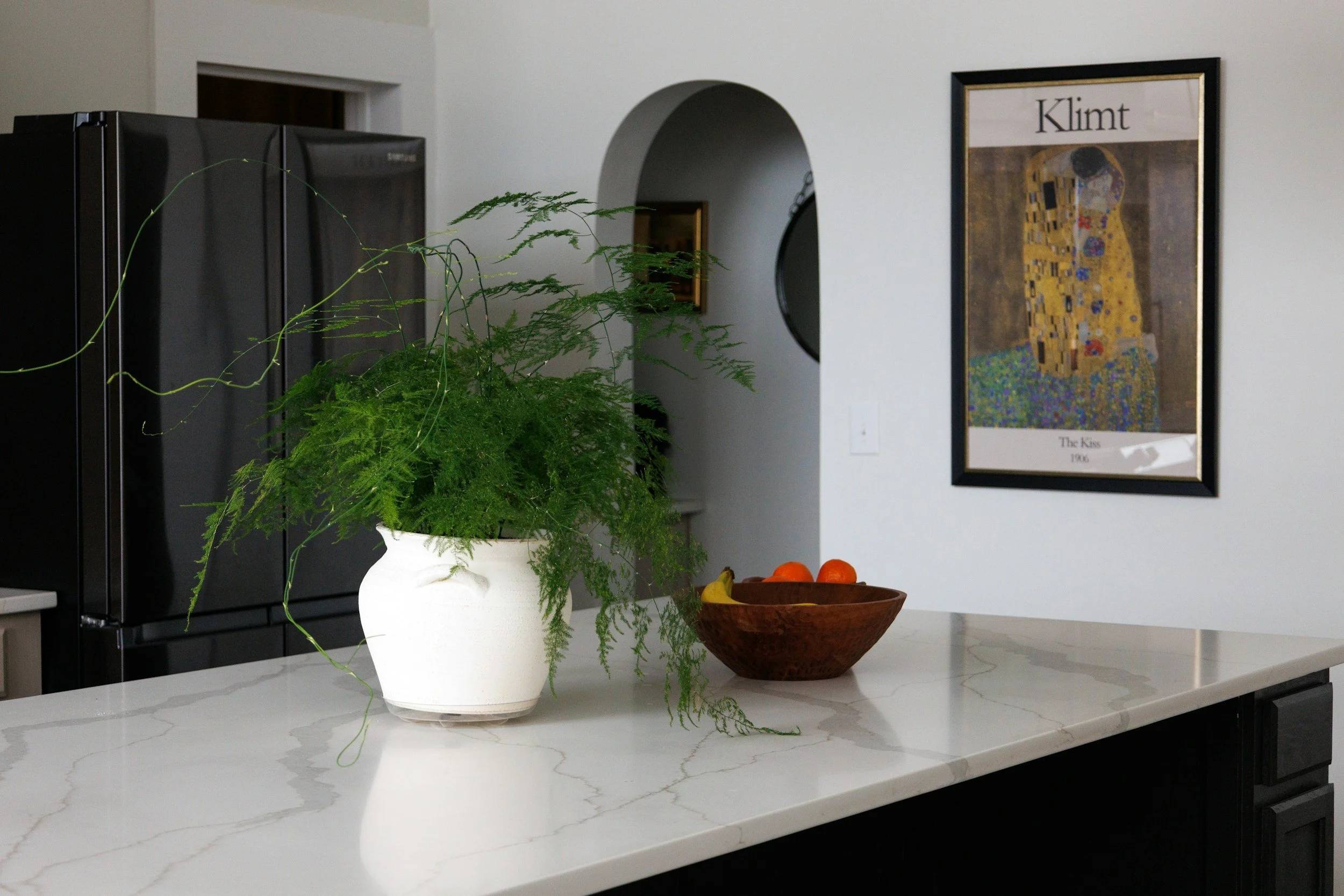 Fern on a kitchen counter