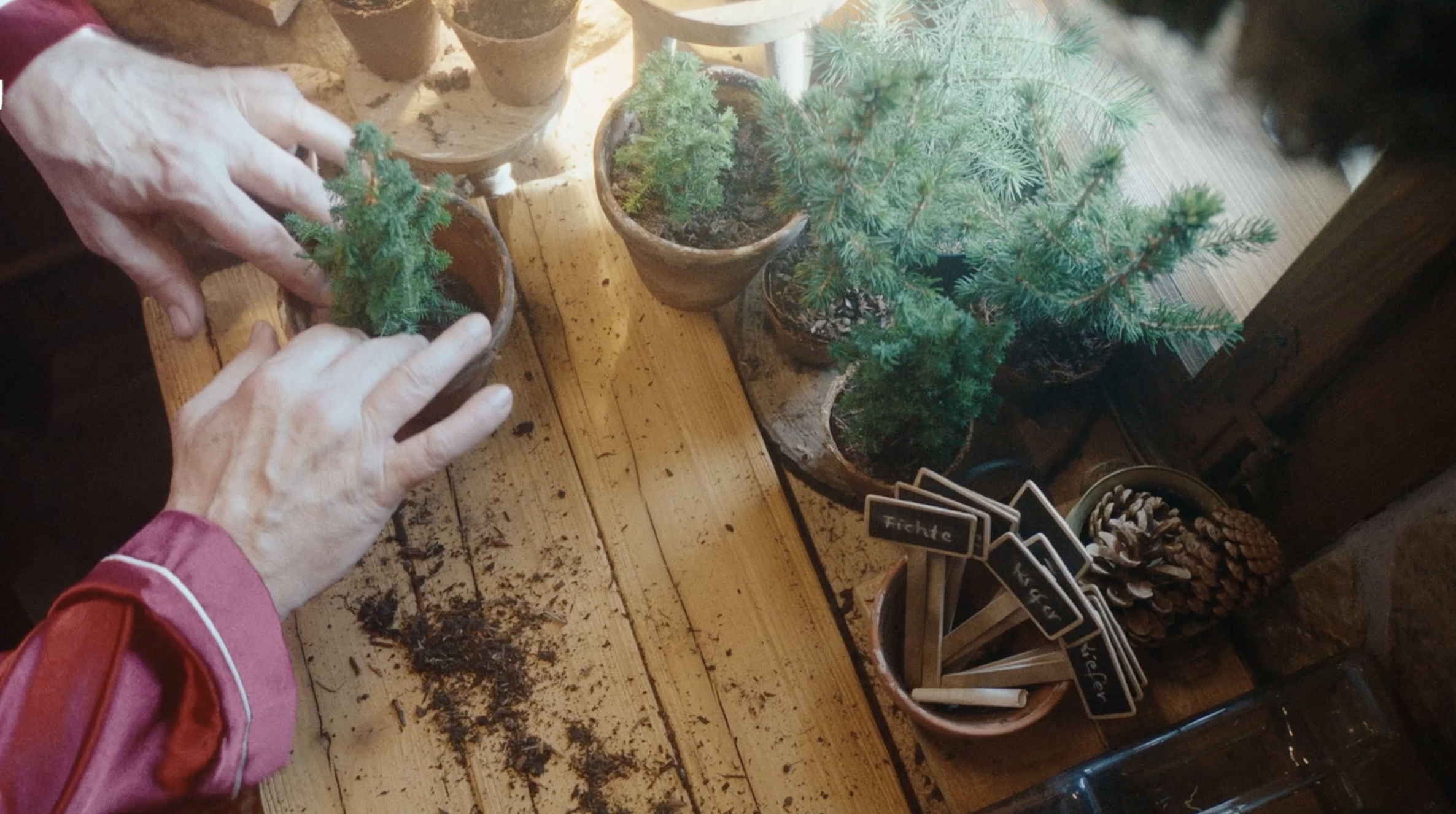 Bildschirmfoto 2026-04-02 um 13.16.54.png