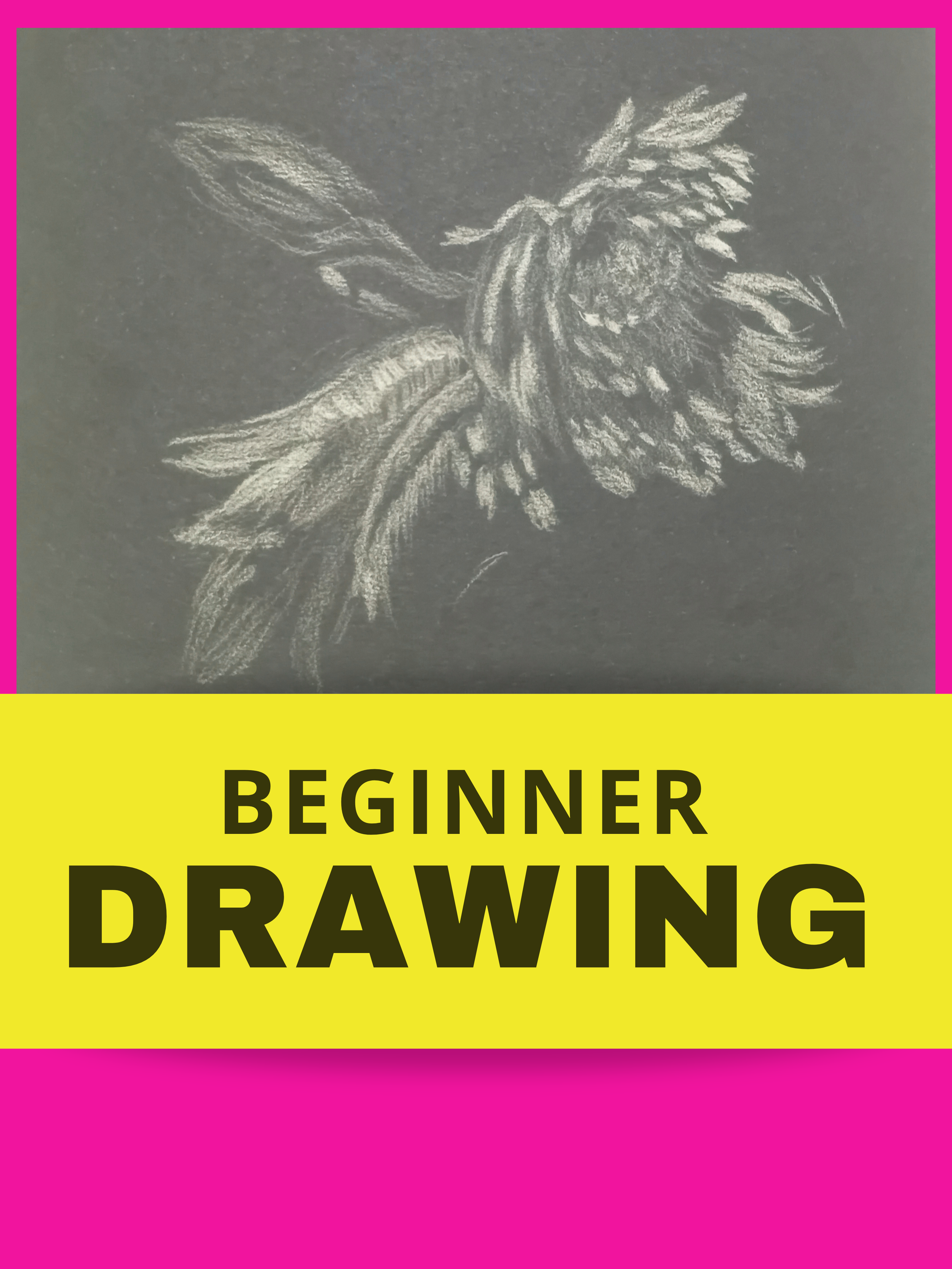 6 Sessions of drawing Saturday 11am - 1pm 28 February - 4 April