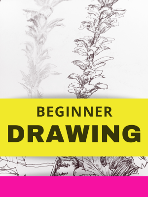 Wednesday Evening Beginner Drawing Class  - January 14