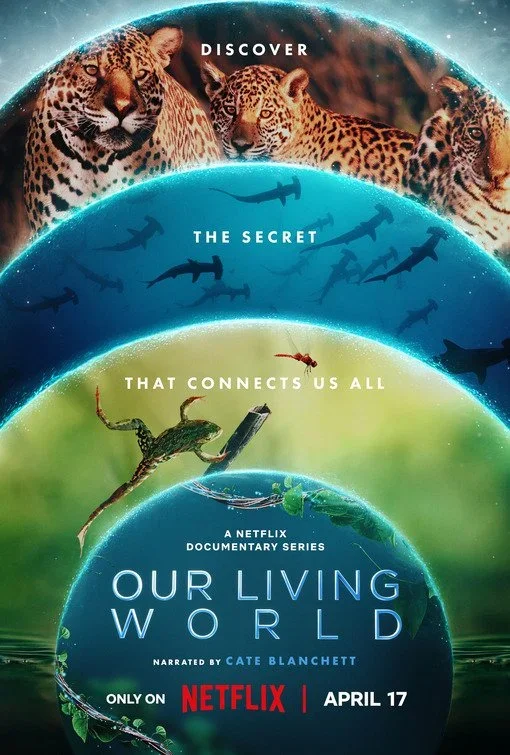 Promotional poster for the Netflix documentary series "Our Living World" featuring layers of different animal habitats. The top layer shows jaguars, the middle layer depicts sharks, and the bottom layer shows a lizard and a turtle. The poster emphasi