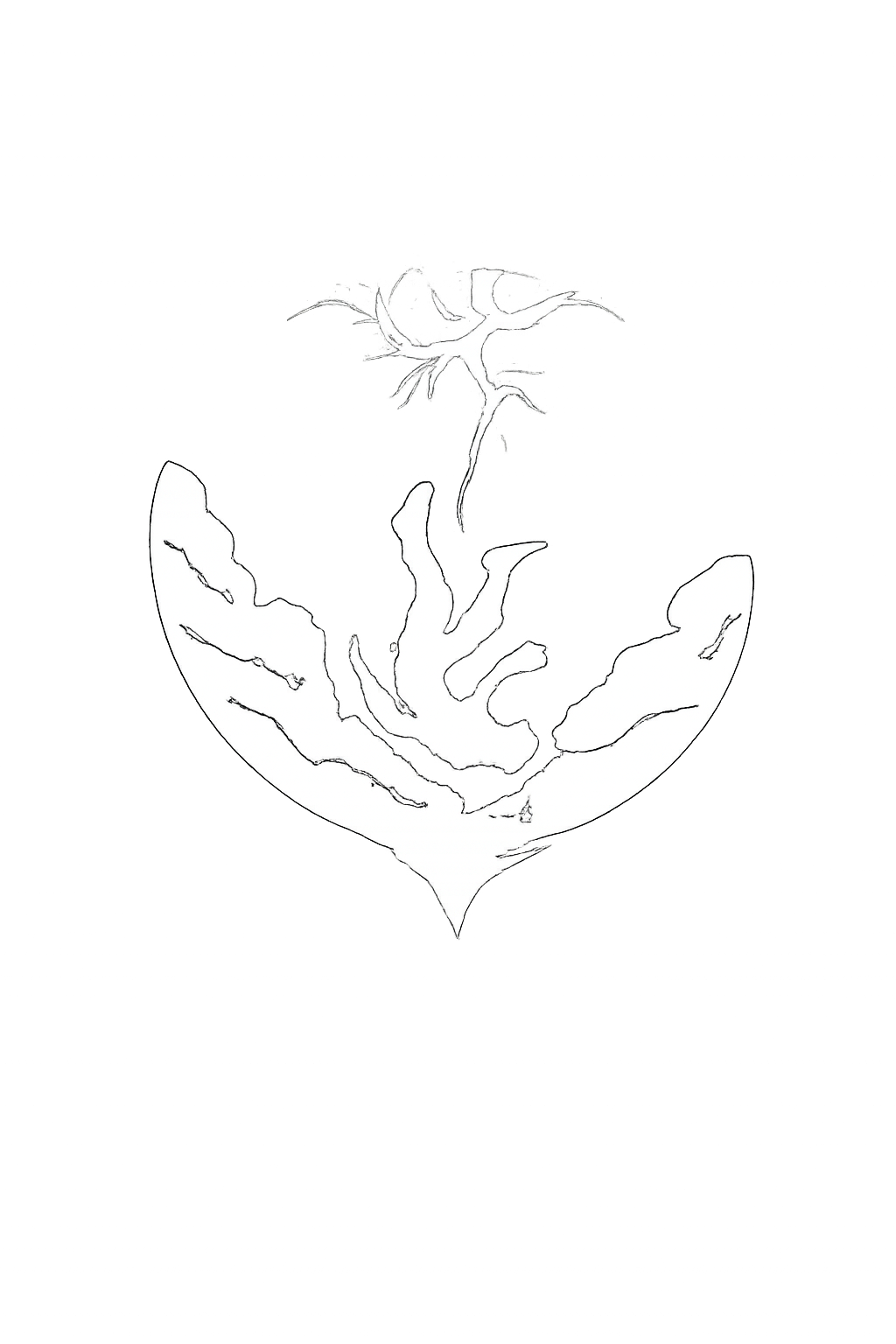 AVC à 10000 mètres 