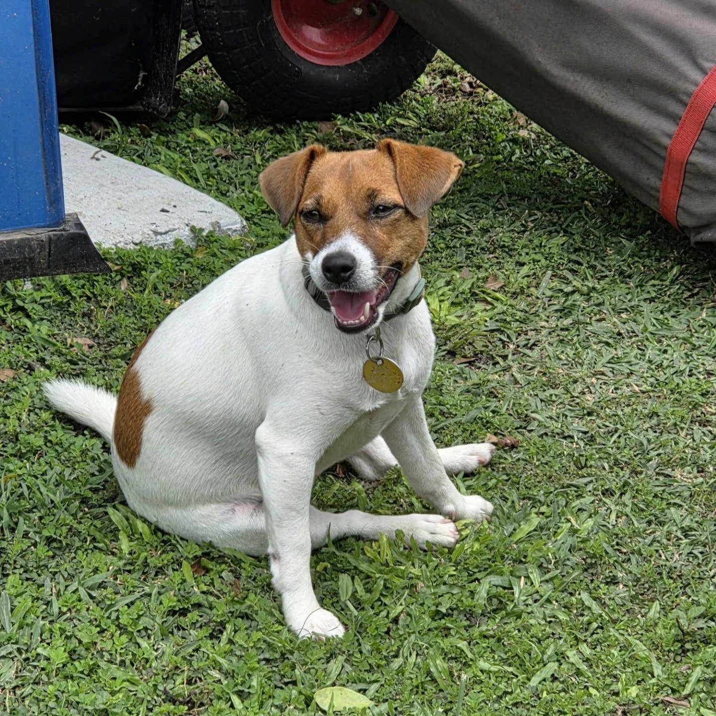 Tubbercurrie Mercedes 