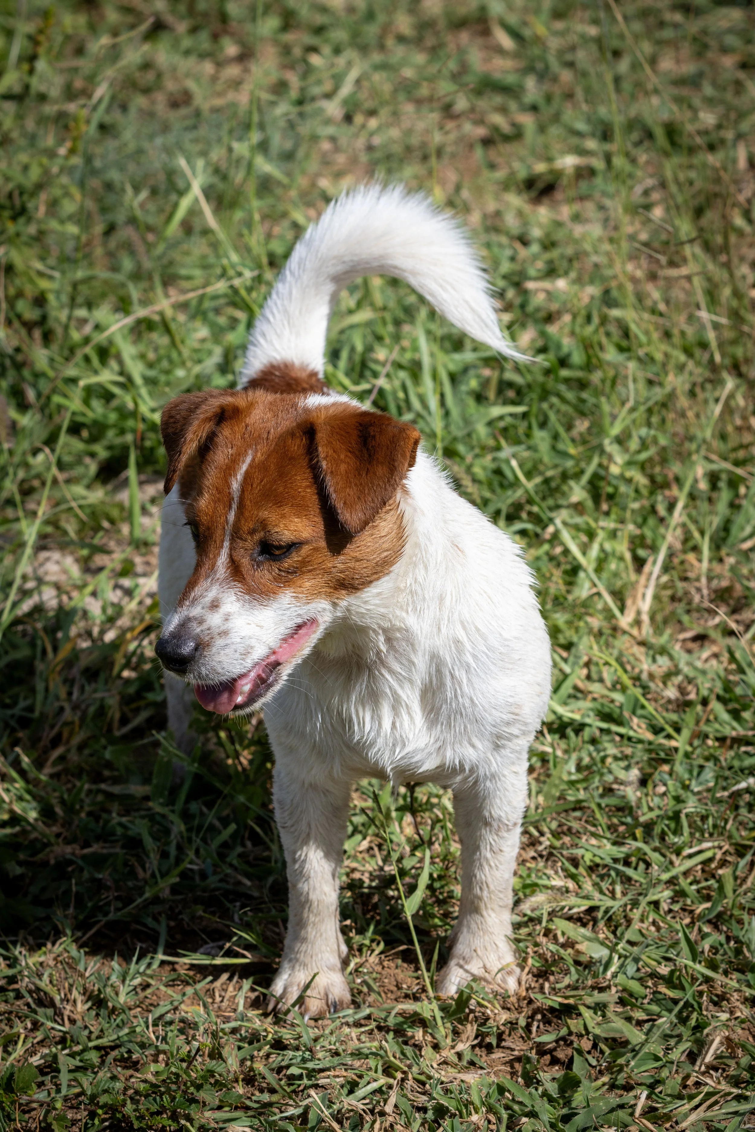 Resized 0D5A0760.jpg