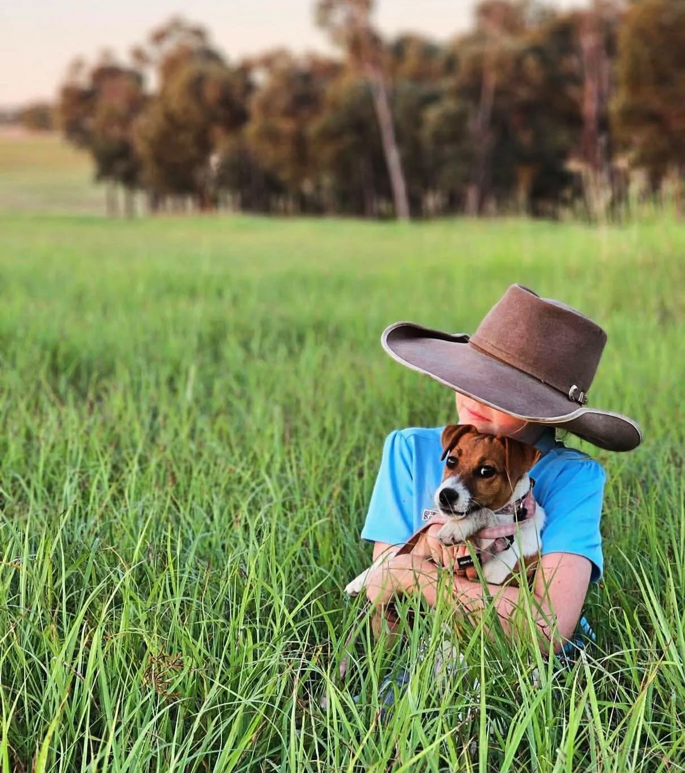 A beautiful pupdate of Gemma aka Tubbercurrie Heirloom from our Lasting Legacy litter. Whoever said diamonds were a girls best friend never owner a dog 🫶🏼🥰🌾

#tubbercurrieterriers #girlsbestfriend #jackrusselllove