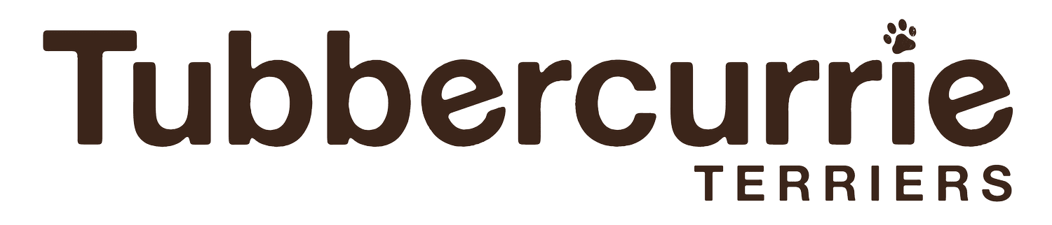 Tubbercurrie Terriers