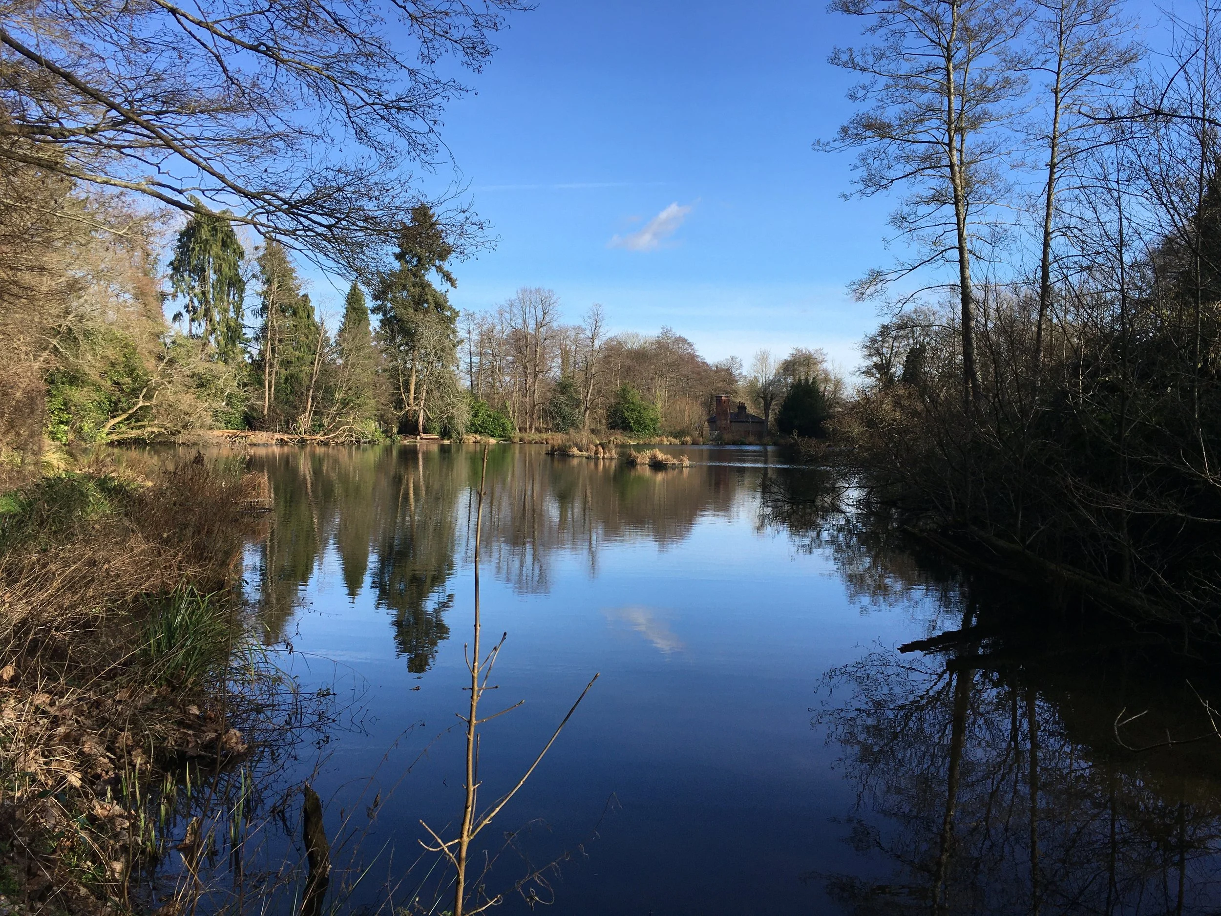 A view of the Bramley Mill Pond from Mill Lane