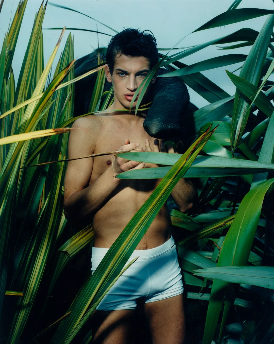 A shirtless man wearing white shorts standing among tall green plants, with one arm draped over his head and the other holding his chest, with lush foliage surrounding him.