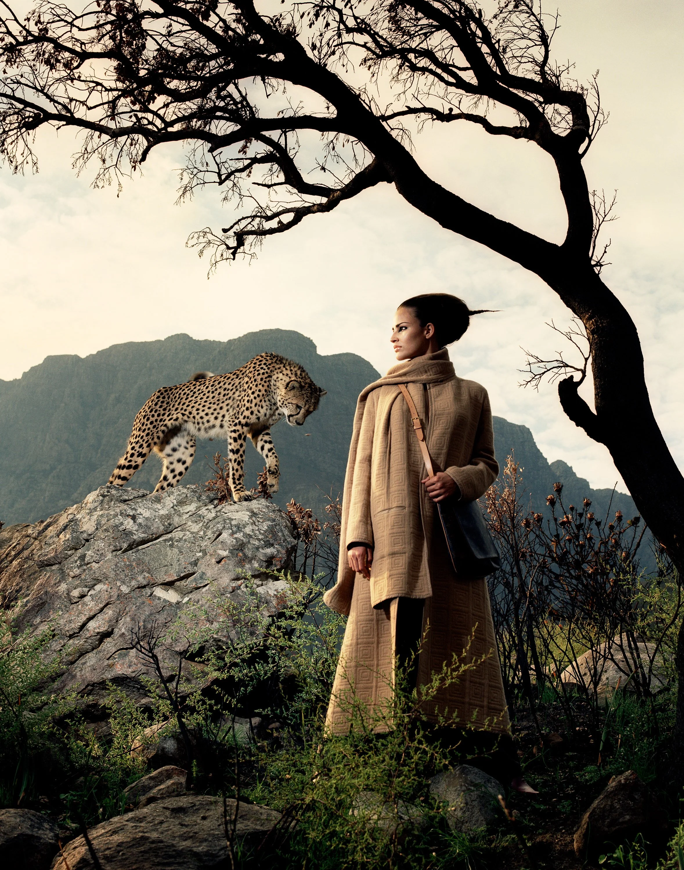 A woman in a long brown coat and beige scarf stands on rocks, looking at a cheetah perched on a large rock. In the background, there are mountains, leafless trees, and some bushes, suggesting a savannah or mountainous landscape.