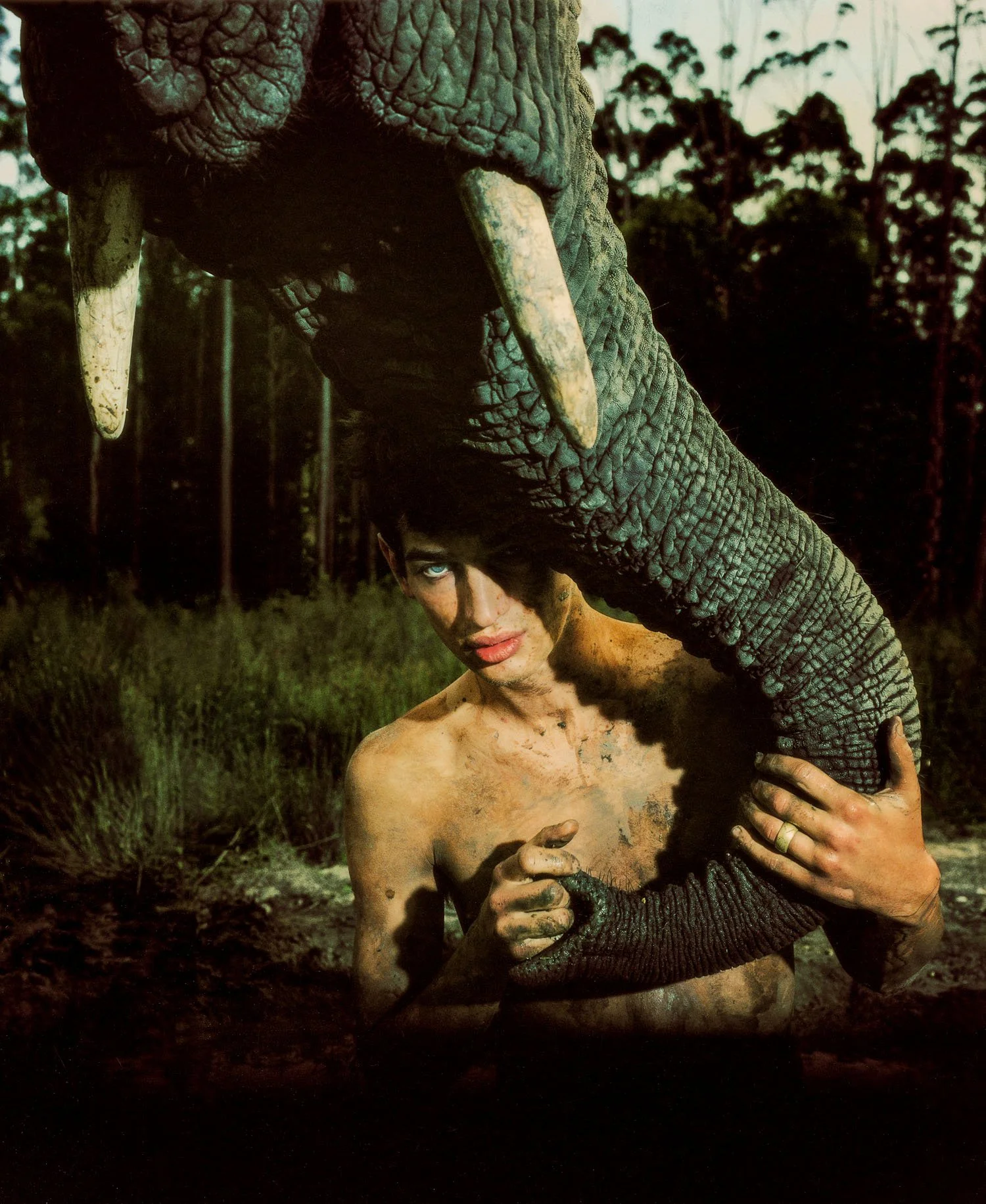 A shirtless person with mud-covered skin and intense eye makeup holding a large elephant trunk in a forest setting.