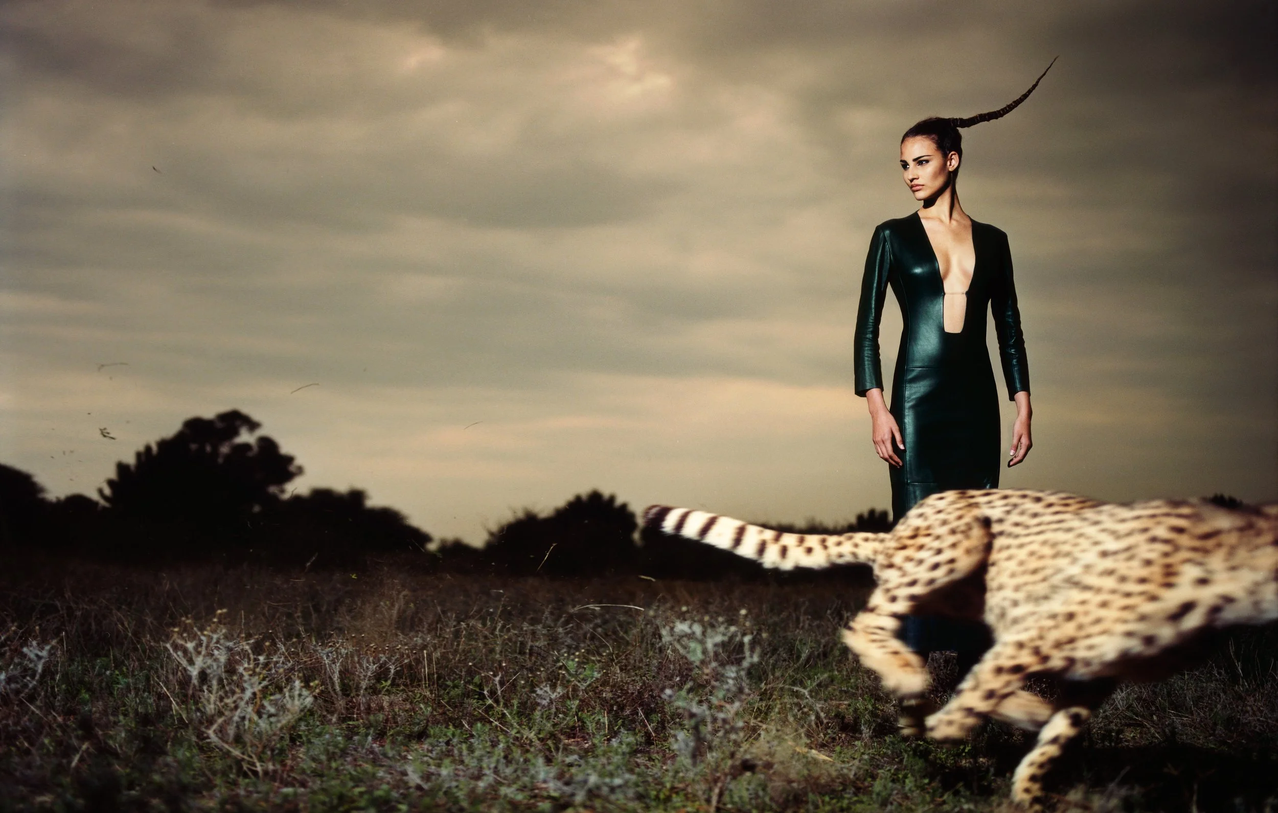 A woman in a sleek, dark green dress with a deep V neckline stands in an open field. A cheetah runs in front of her, and the background features a cloudy sky and dark silhouettes of trees.