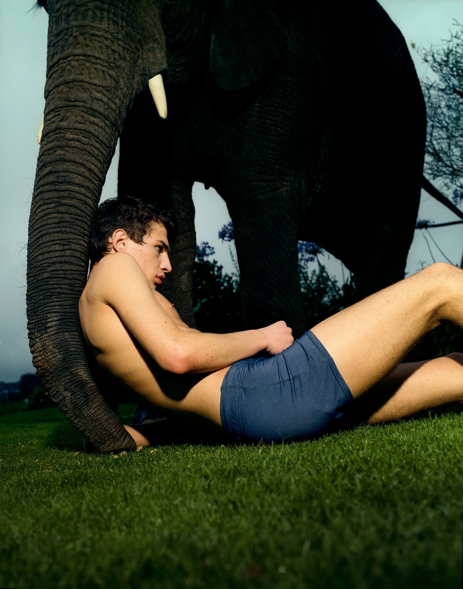 A young man lying shirtless on grass, looking distressed, with a large elephant standing beside him. The scene appears to be outdoors during dusk or early evening.