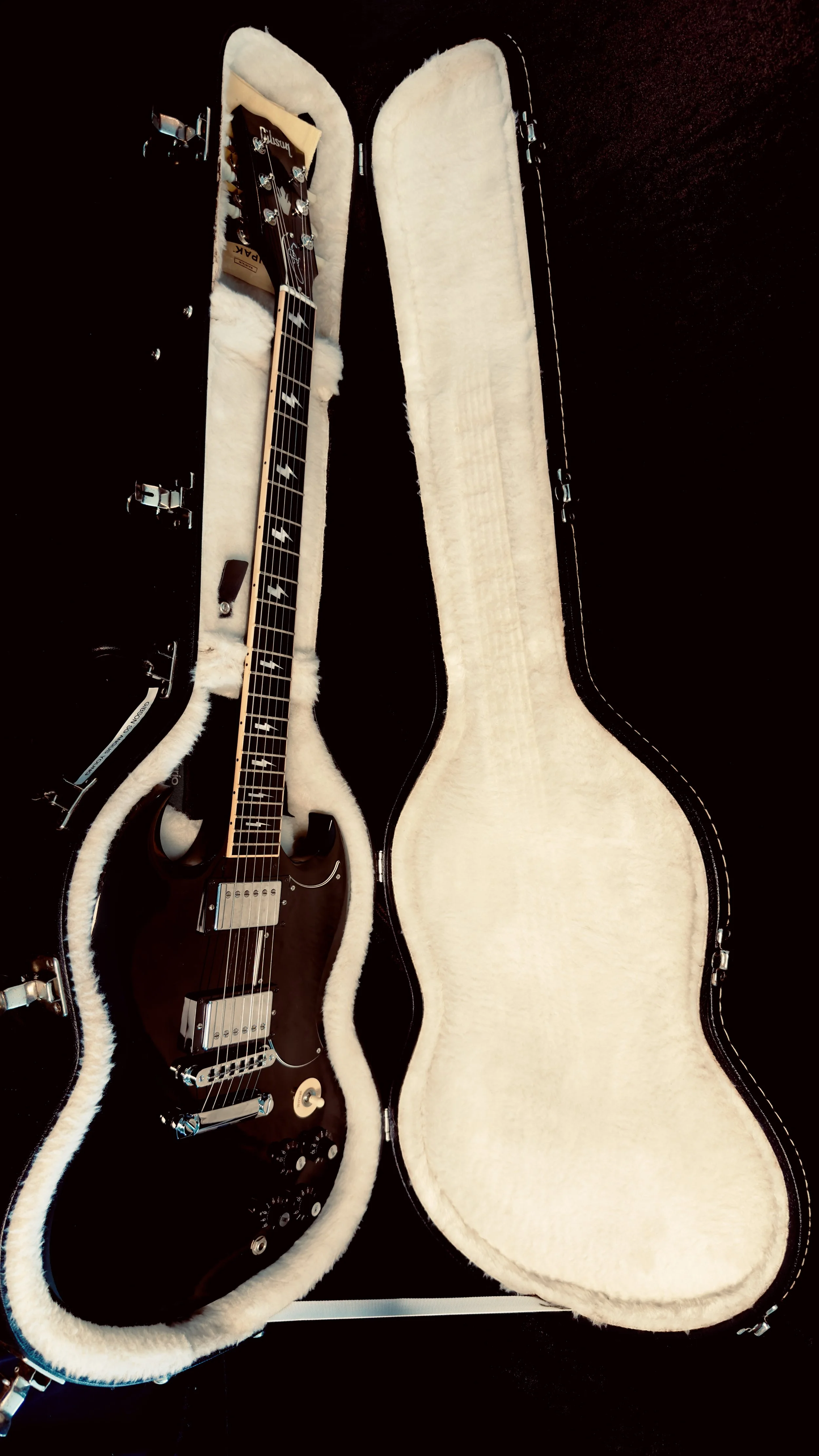 Electric guitar with a dark wood finish inside a white plush-lined hard case, with an empty case shell beside it.