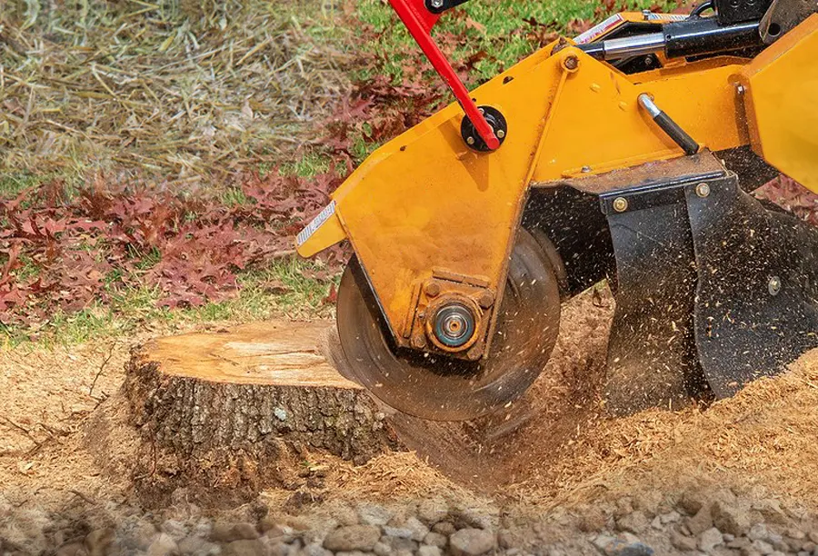 Stump Grinding