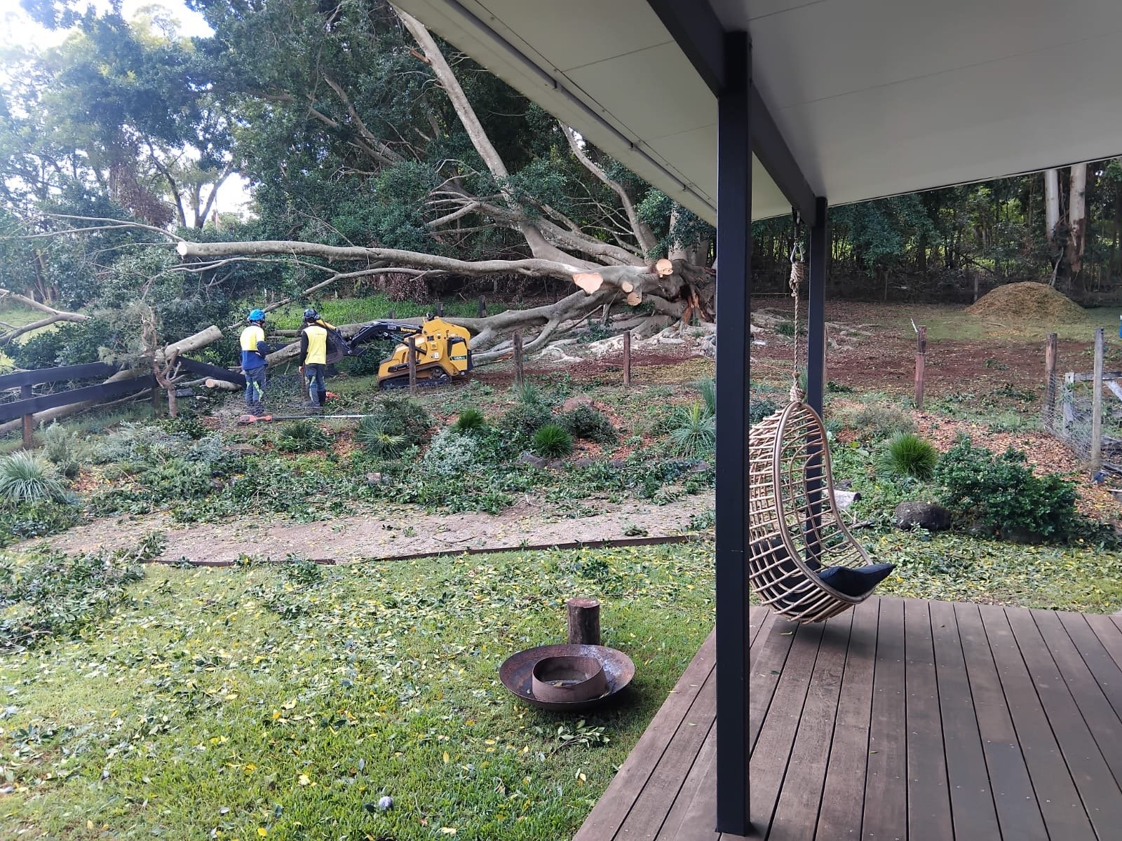 leaf it us team doing complete tree management in Bangalow
