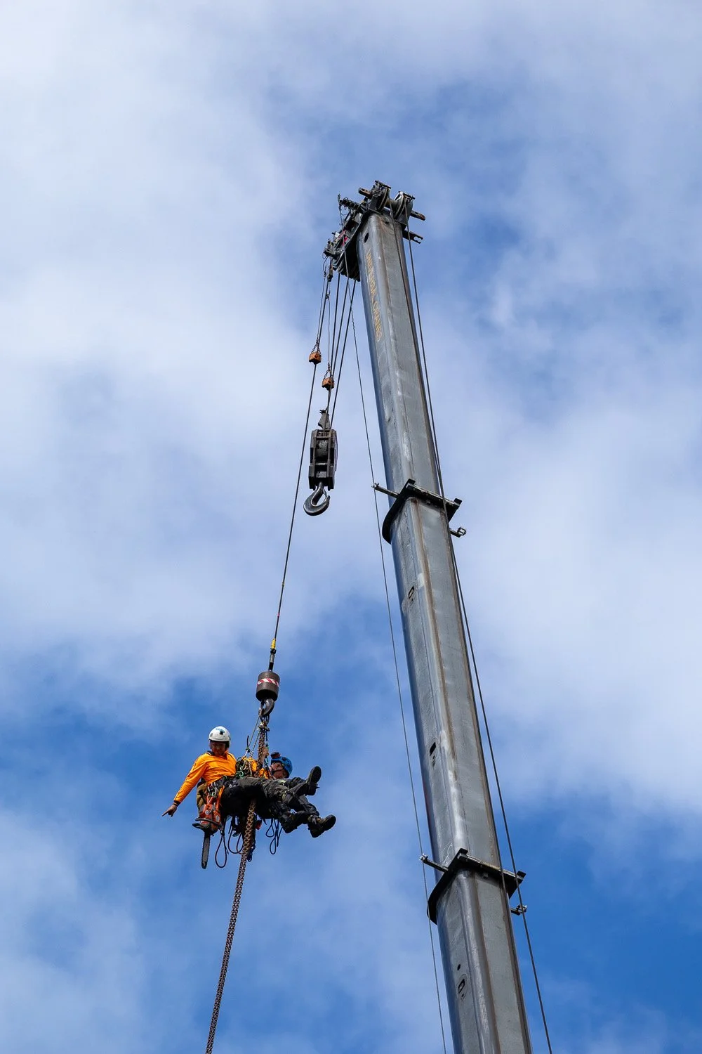 crane assisted tree removal byron bay northern rivers - leaf it to us (11).JPEG