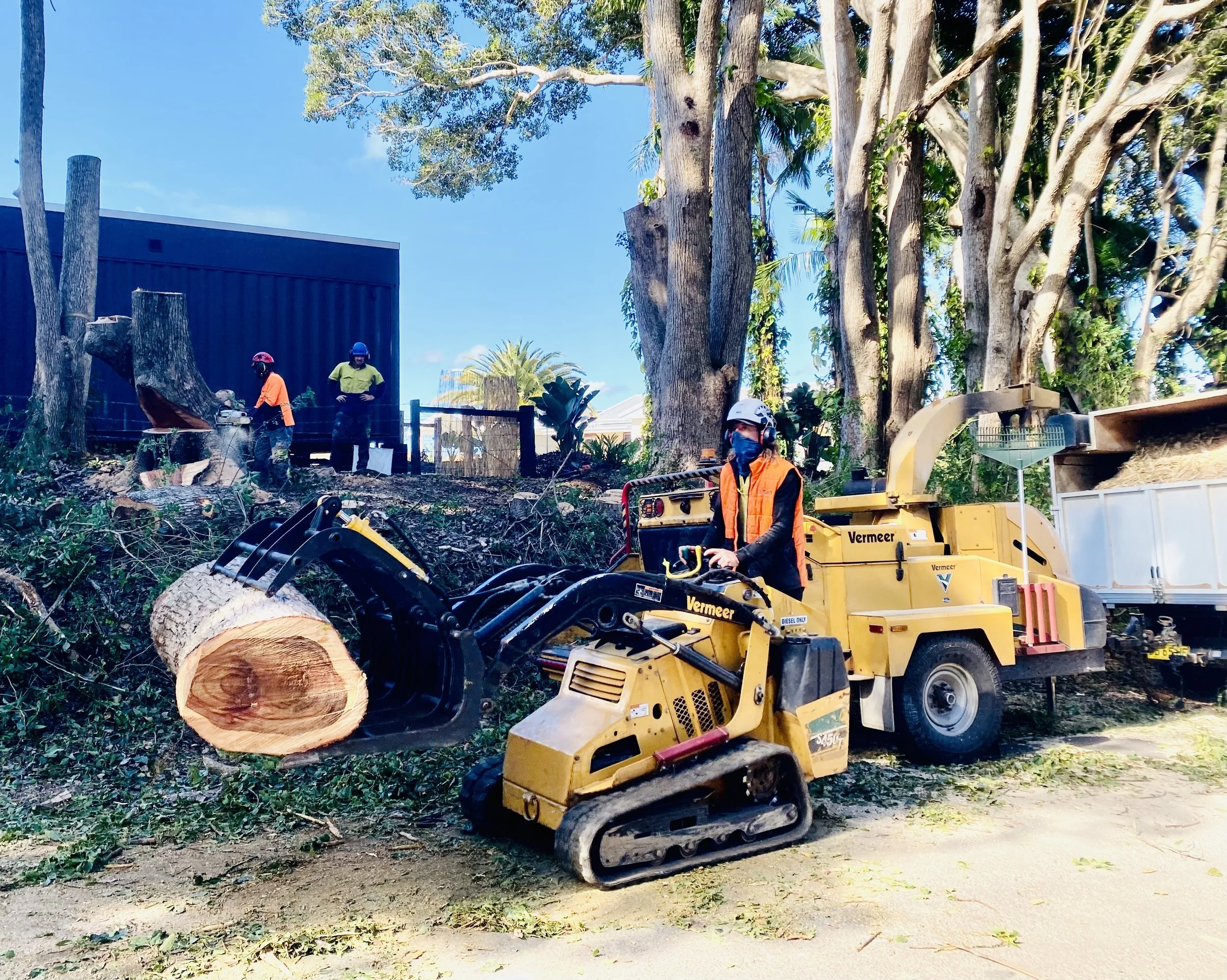 Tree Chipping & Mulching Northern Rivers | Green Waste Solutions — Leaf ...