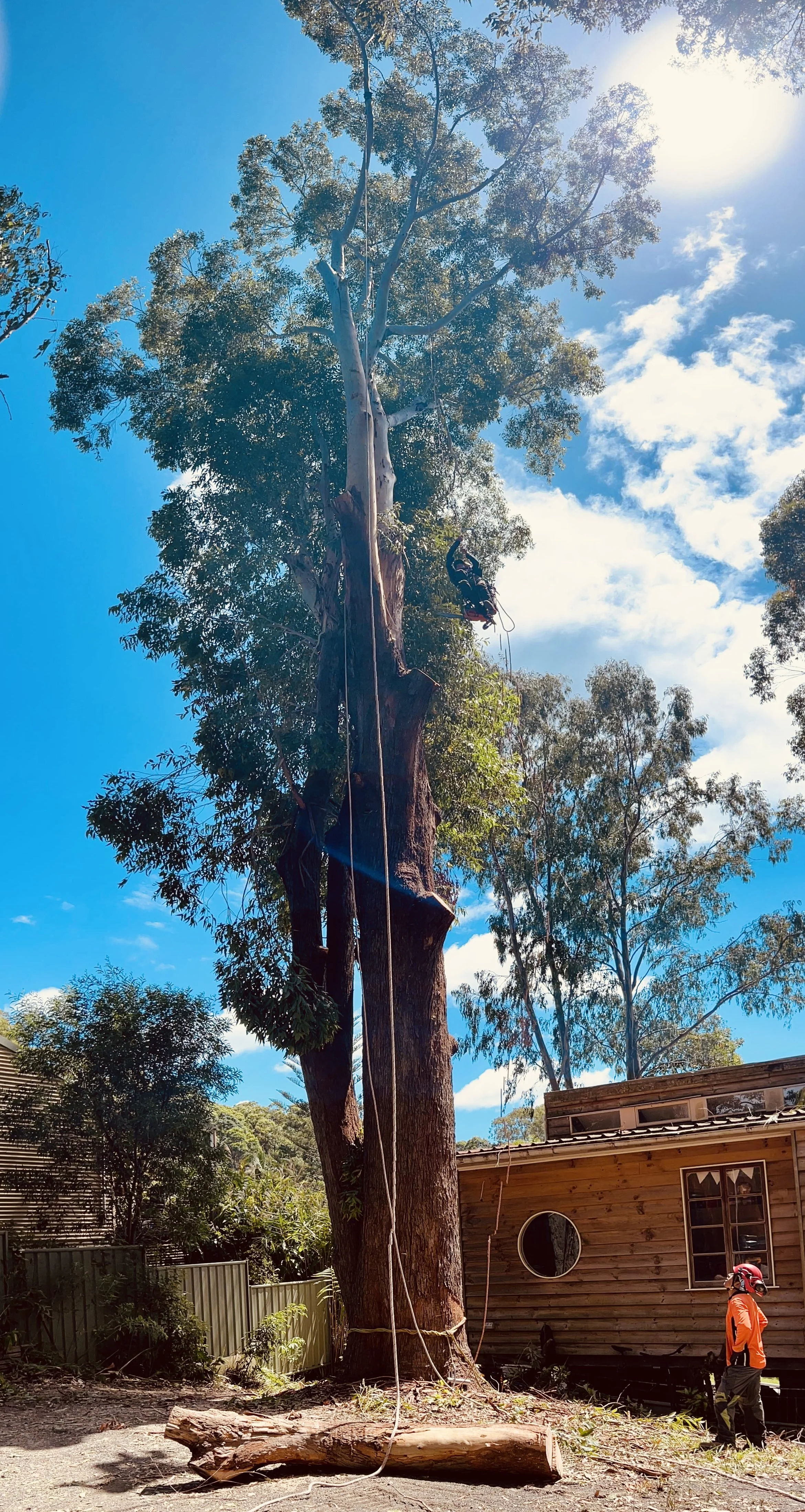 Contact Us | Northern Rivers Tree Services — Leaf It To Us