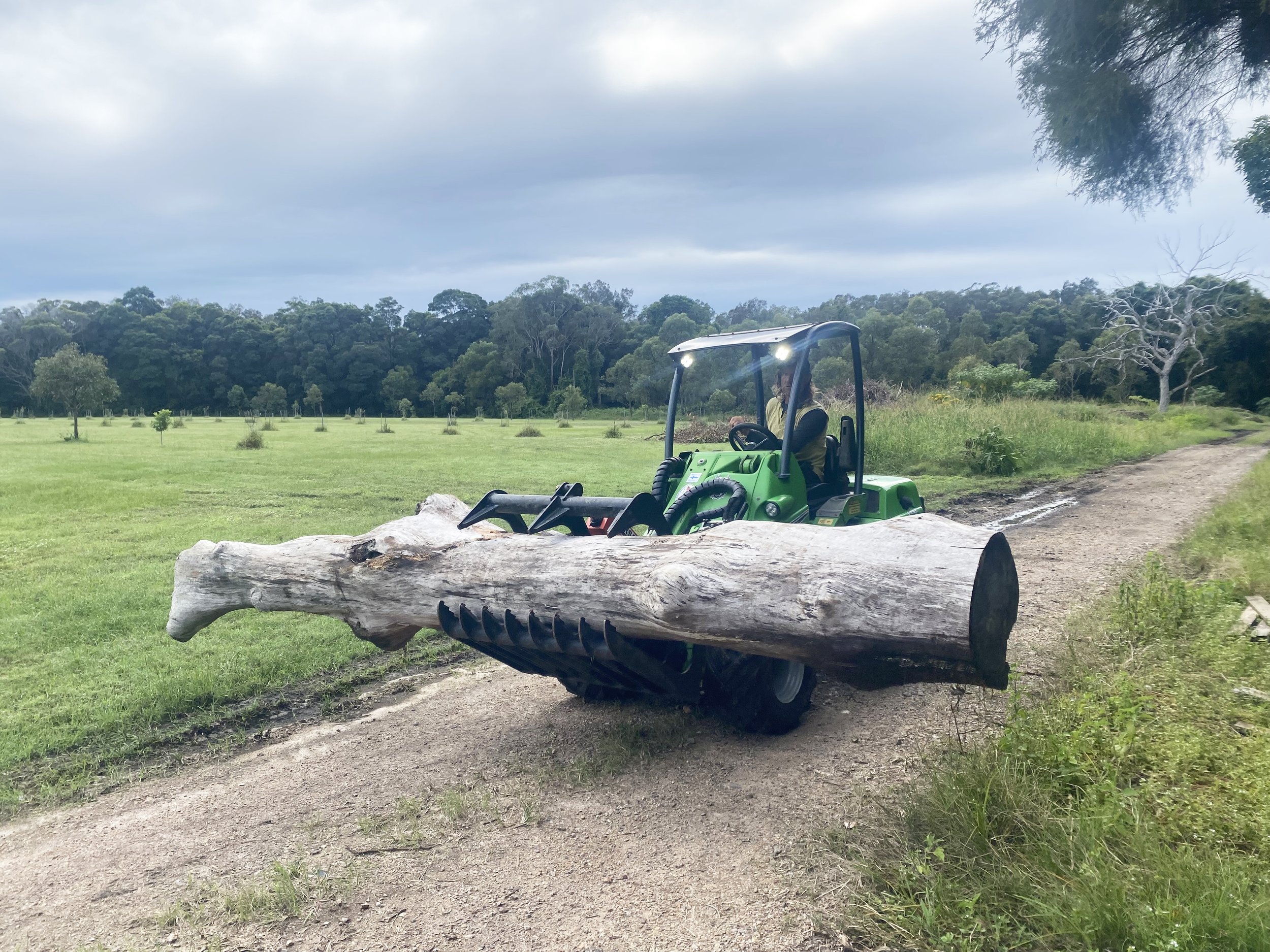 Commercial & Government Tree Services