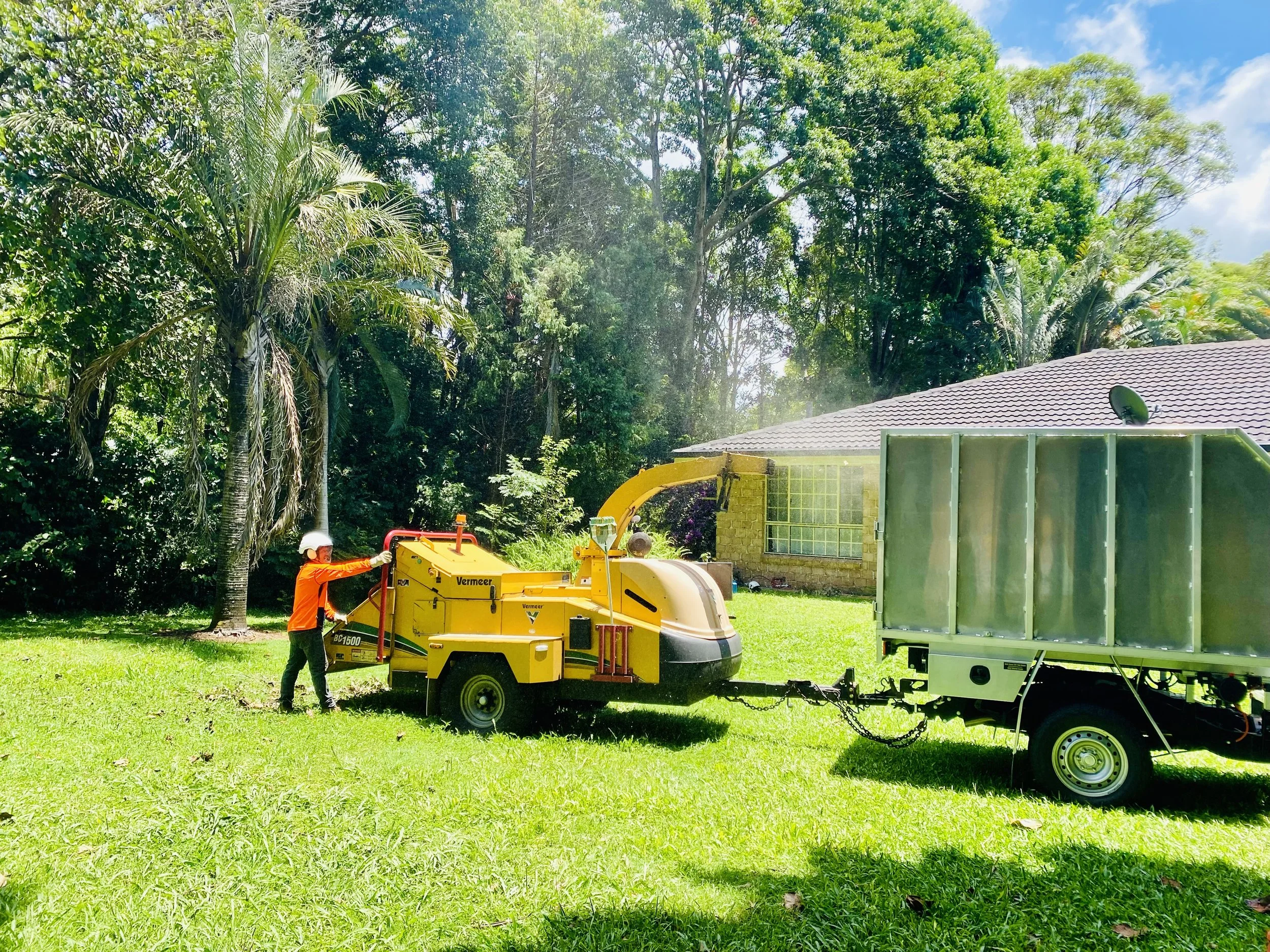 Tree Removal & Arborist Services | Leaf It To Us Northern Rivers