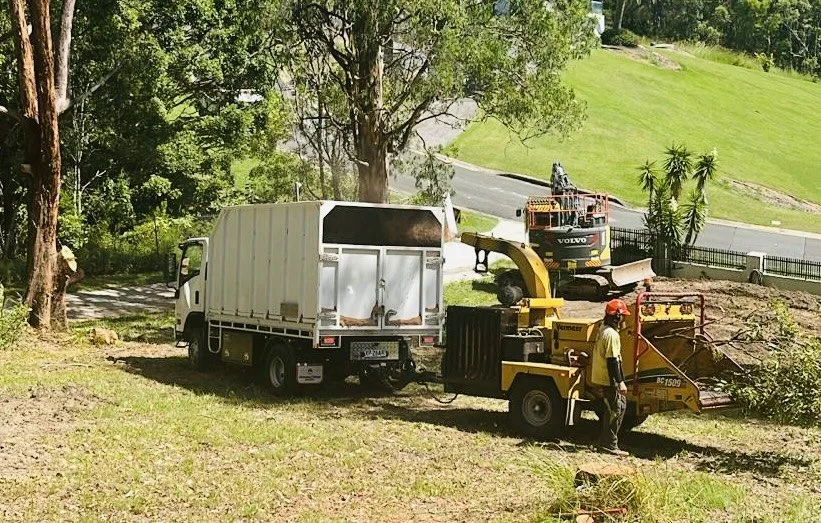 Arborist Service Tweed Shire (12).jpeg