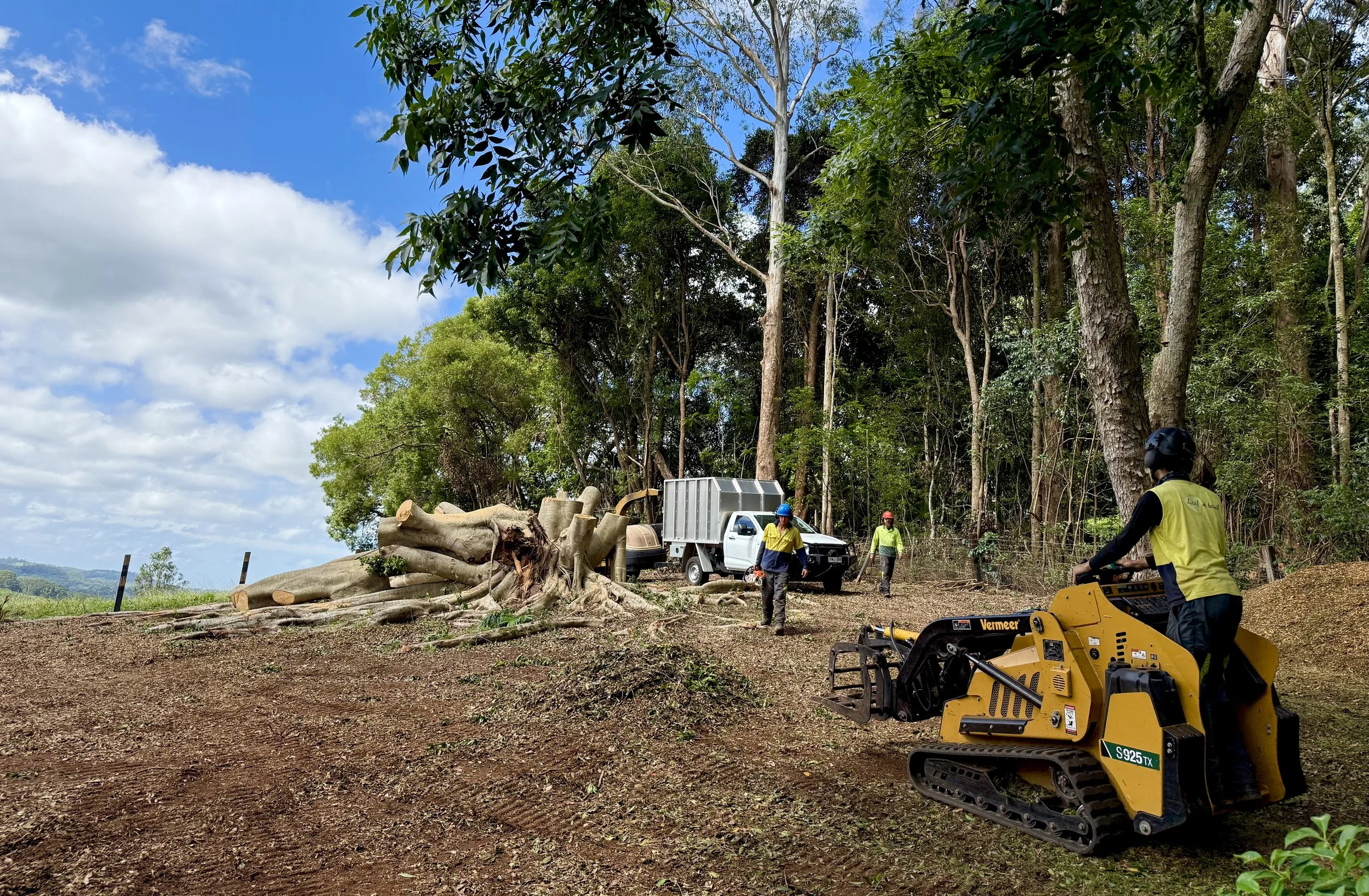 Arborist Services Northern Rivers (15).jpeg