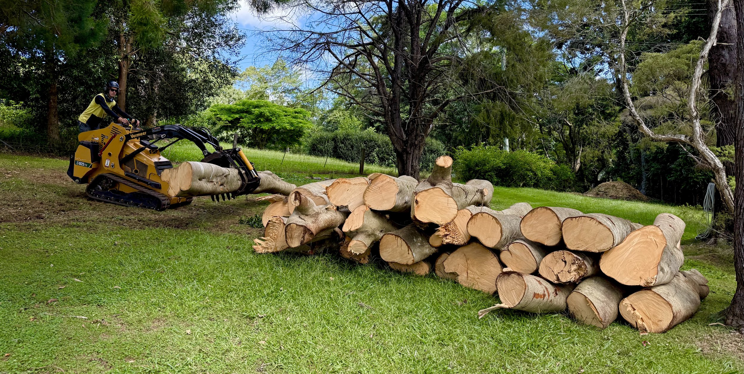 Tree Removal in Tweed Heads