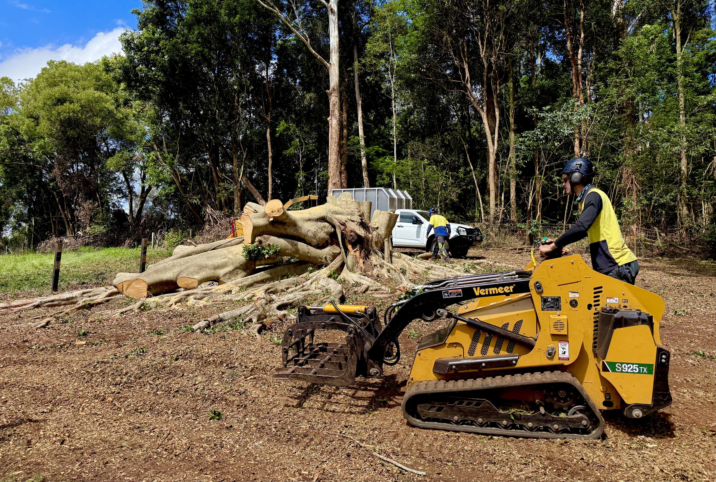 Arborist Services in Kingscliff