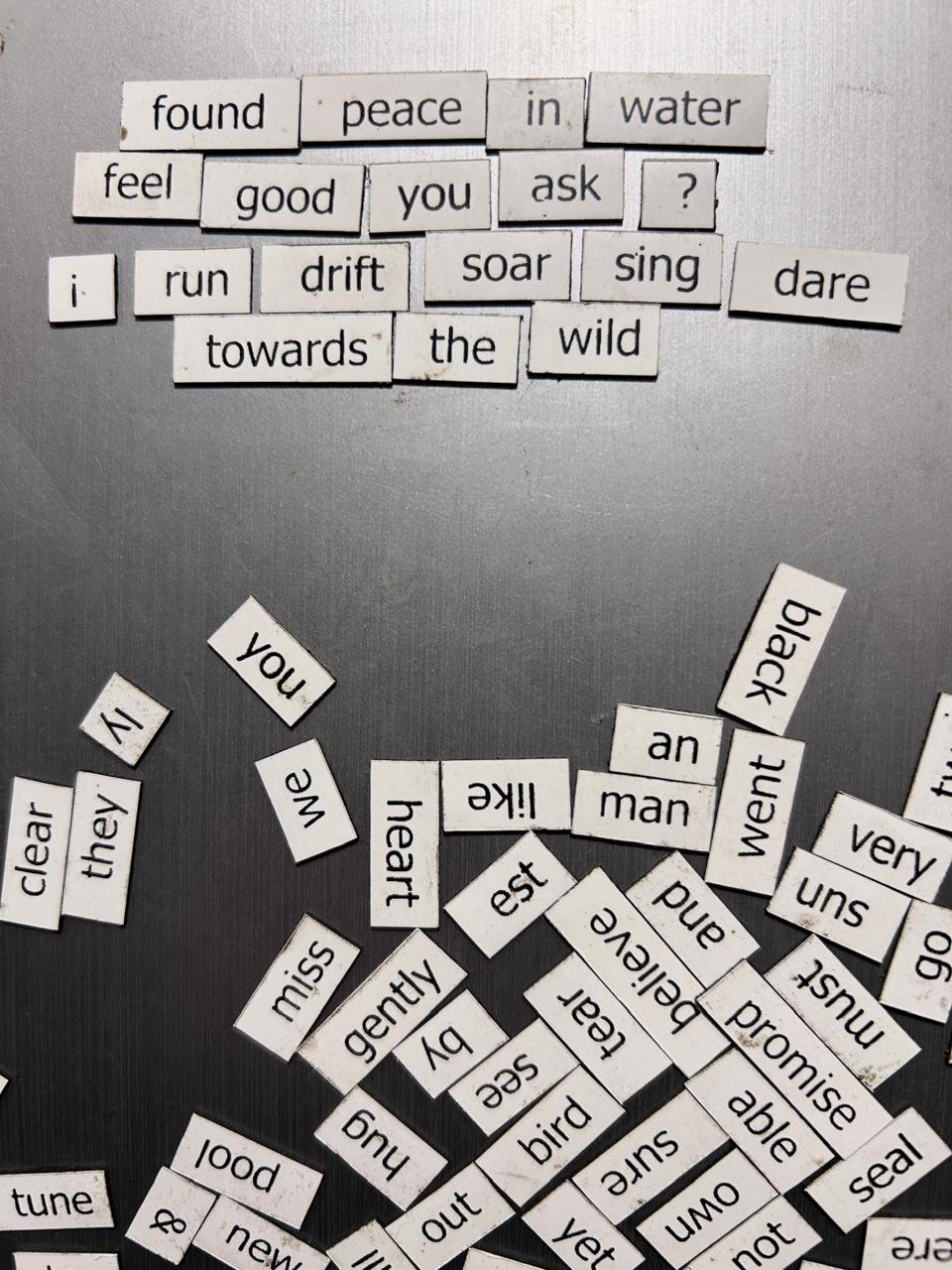 Between Creativity and Chaos: 