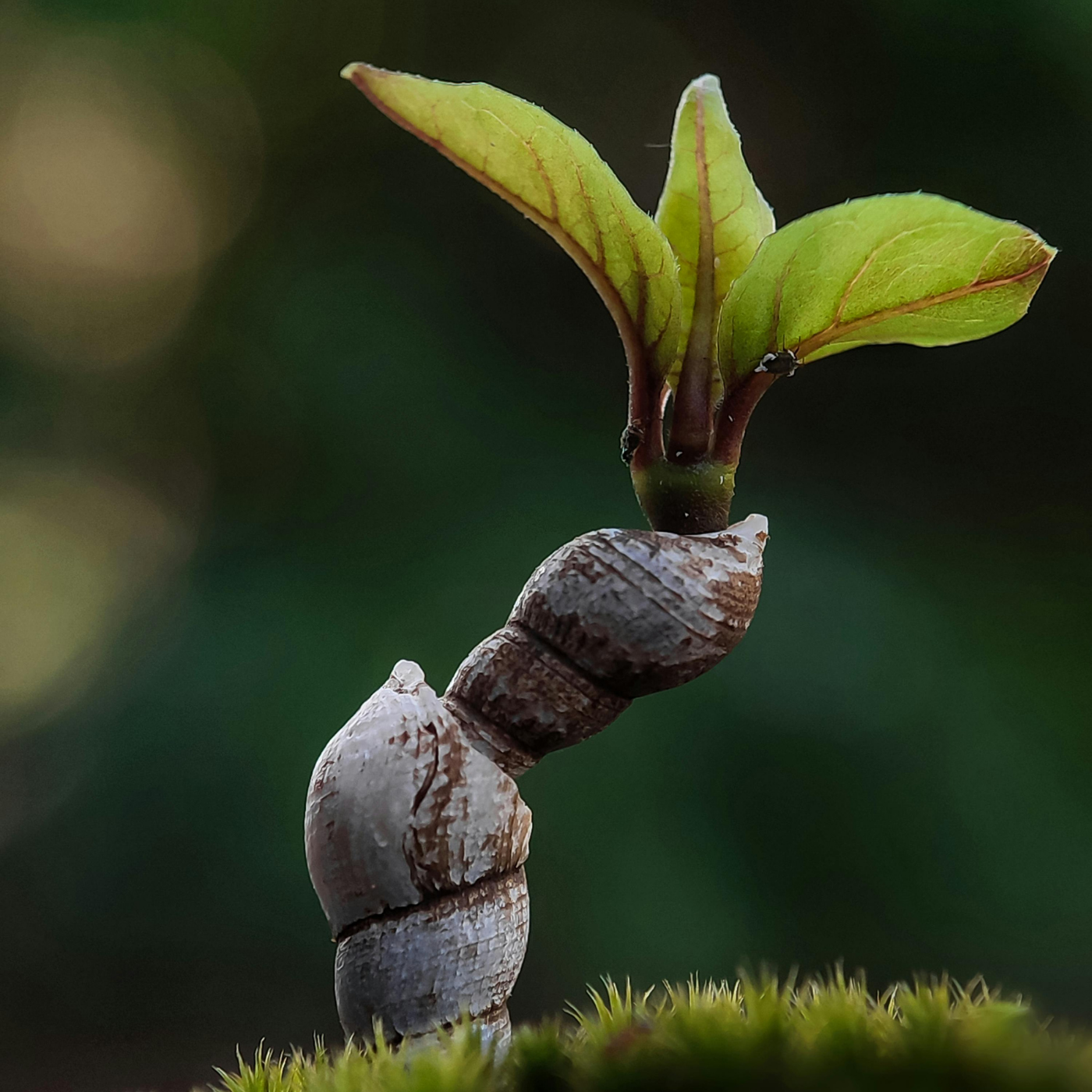 1:1 Creative Coaching (Emergence)