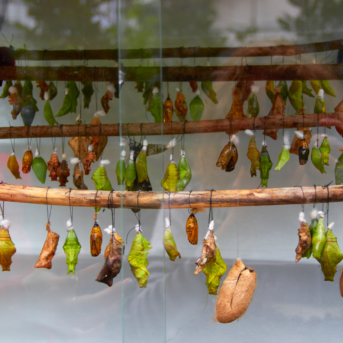 Woman writing in book-5.png