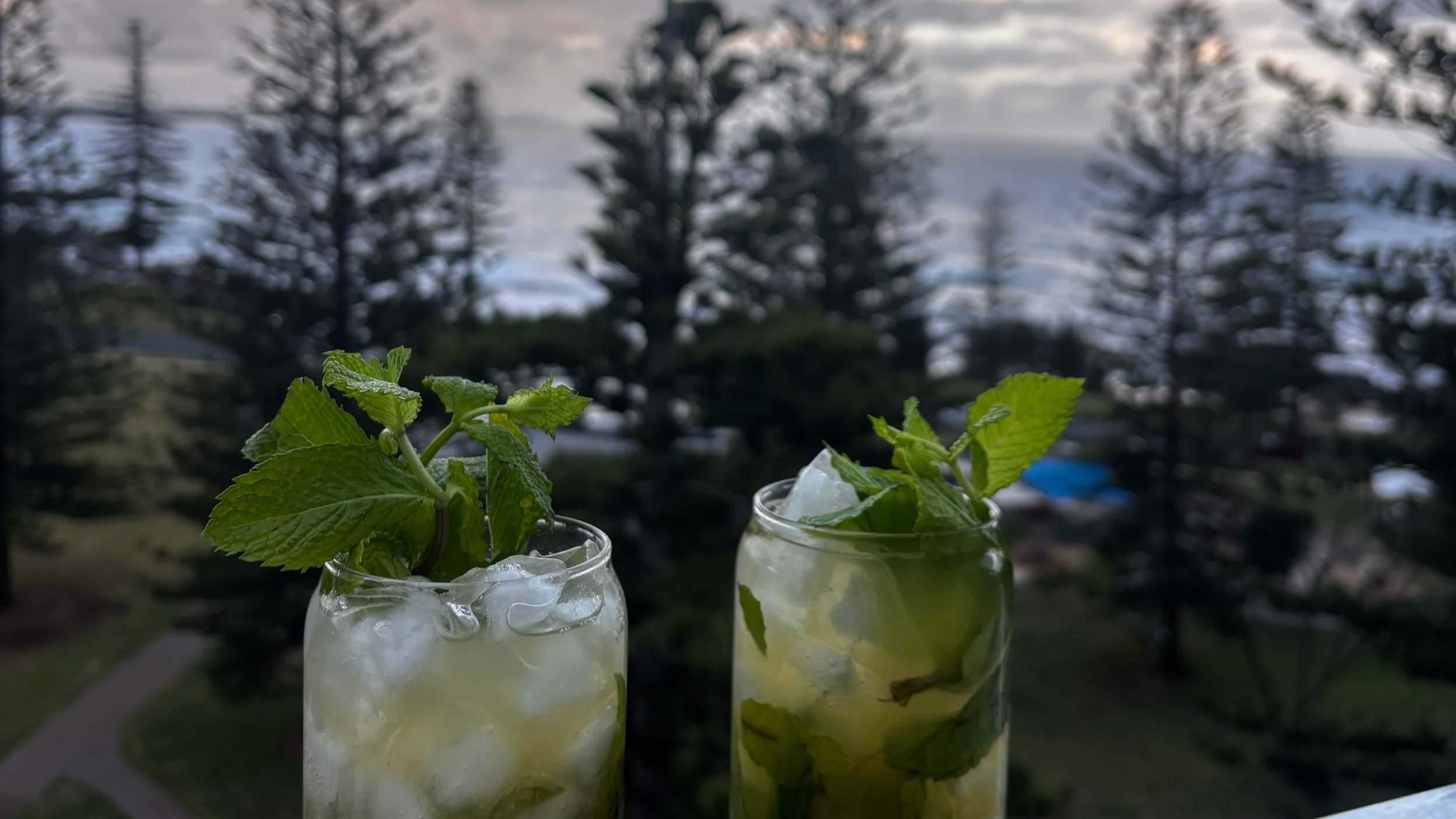 Two glasses filled with ice and mint leaves, outdoors near a background of trees and a cloudy sky.