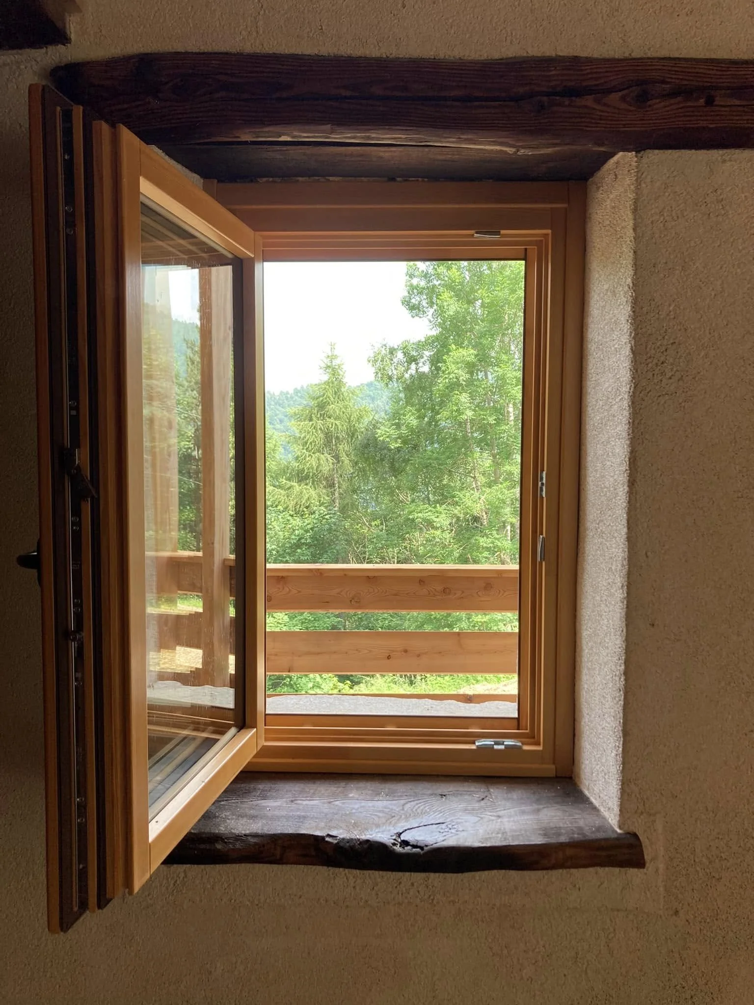 Finestra aperta su bosco.jpg