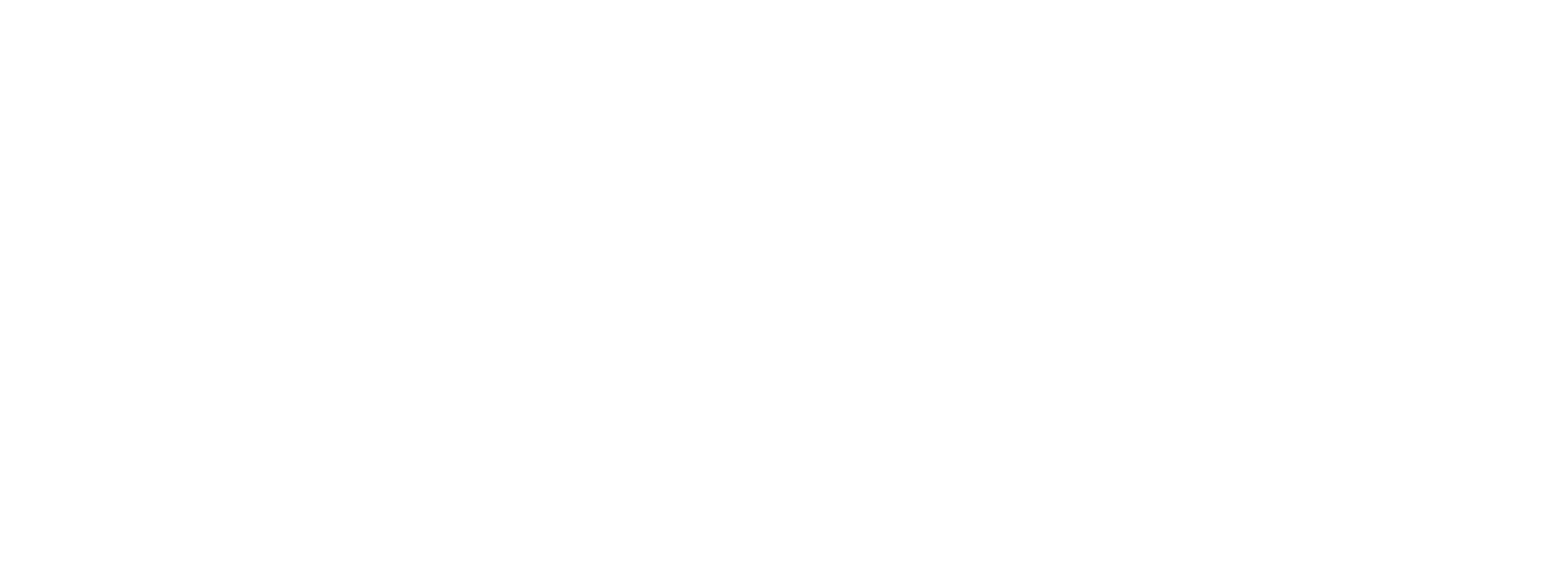 Logo Top 1049 Session Weiß