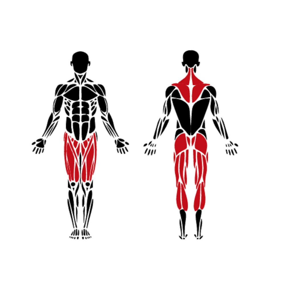 Muscle activation chart for the Multi-Lift outdoor trainer highlighting legs, glutes, lower back and posterior chain — functions similar to OmniGym stations.