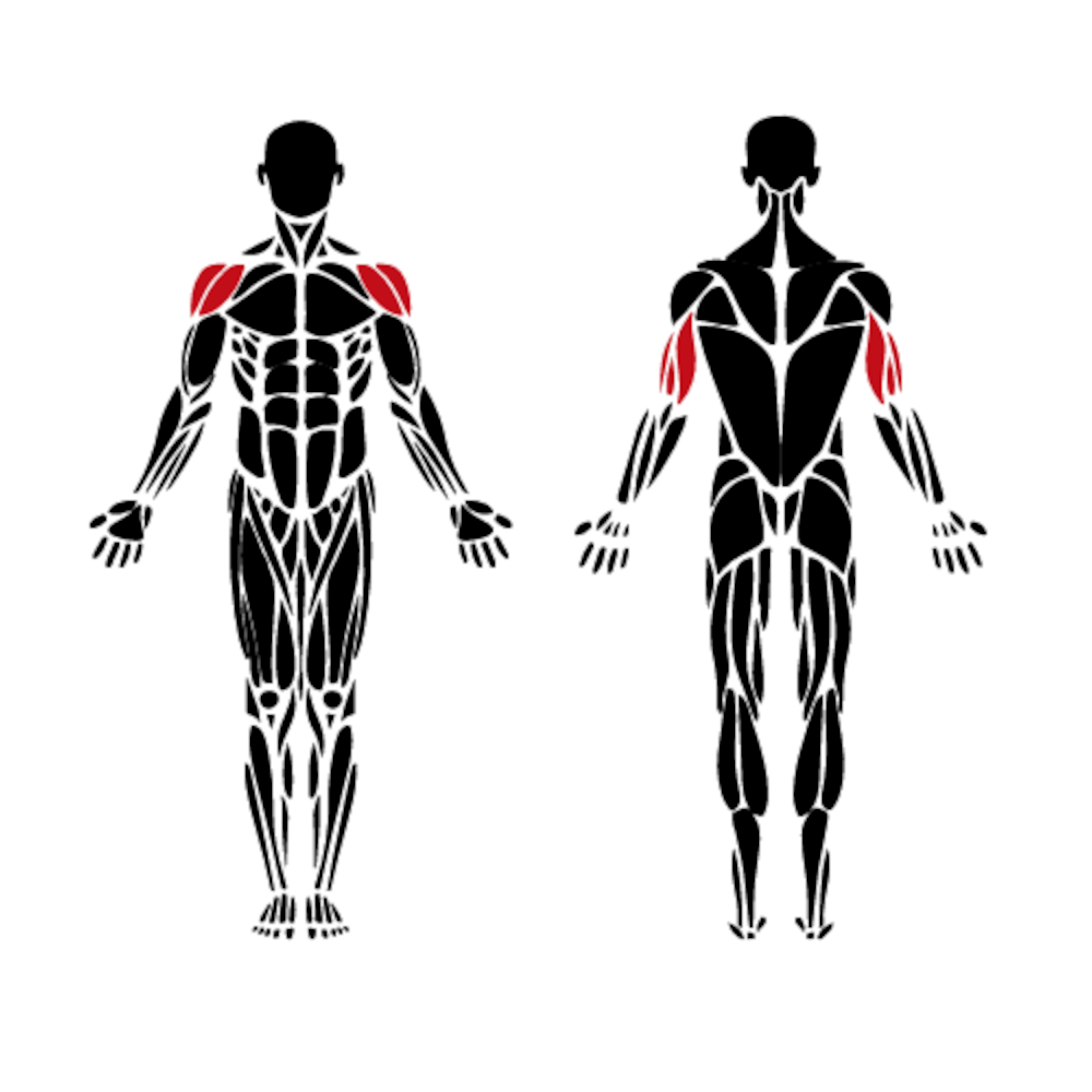 Muscle groups activated by outdoor Leg Press machine — quadriceps, glutes and hamstrings highlighted for professional training.