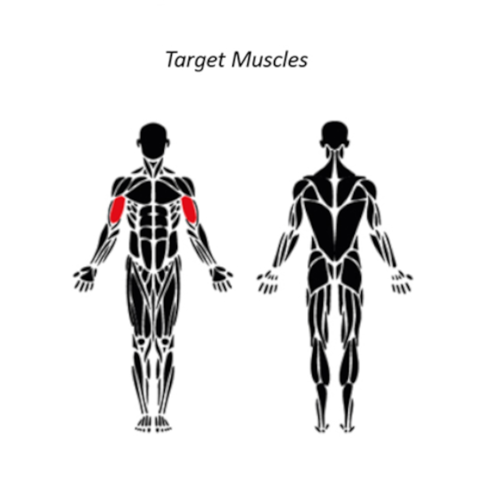 Target muscle diagram showing biceps engagement for outdoor biceps curl machine — clear visual reference for professional outdoor strength training comparable to Omnigym.