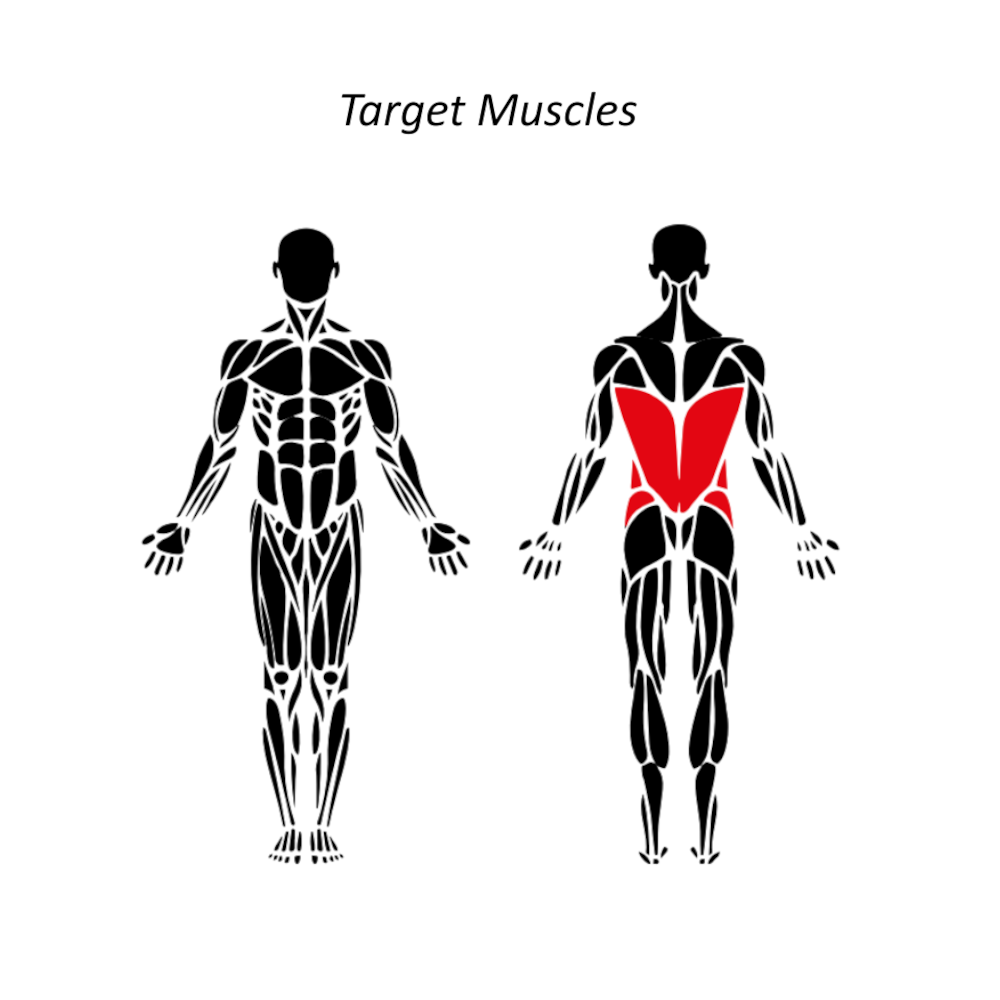 Outdoor back extension machine targeting lower-back and core muscles — heavy-duty steel construction comparable to Omnigym for municipal outdoor gyms.