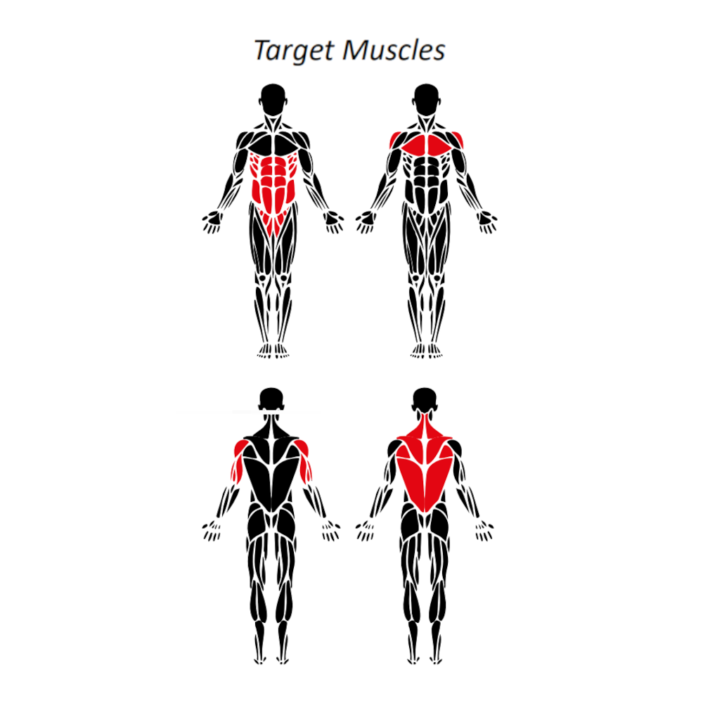 Target muscle diagram for outdoor core rack showing abdominal, back and hip engagement — optimized for professional outdoor strength training comparable to Omnigym.