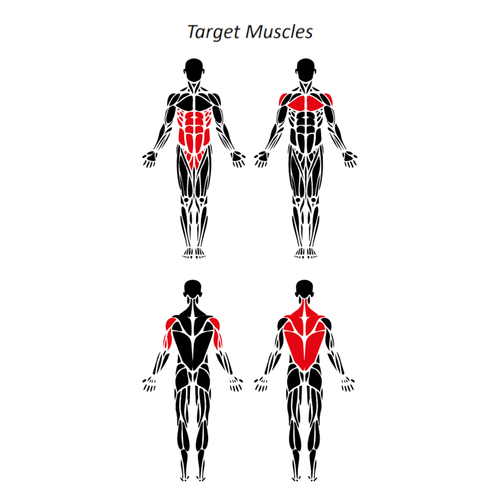 Target muscle diagram showing abdominal, chest, shoulder, and back muscle activation for the outdoor Core Rack and Dip training station.