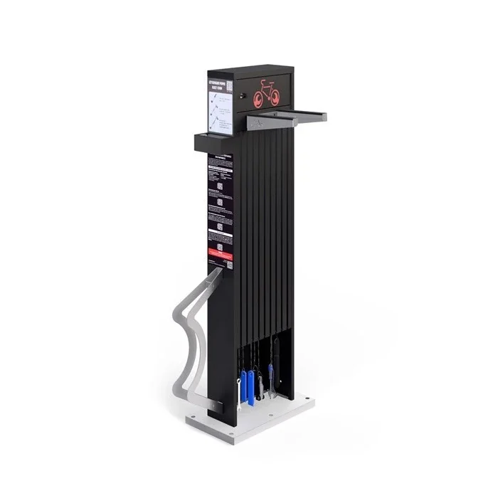 dviraciustotis.webp