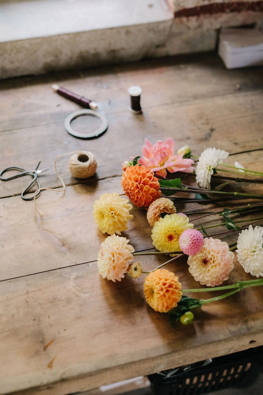 Alt="Daalioita ja floristin työvälineitä pöydällä"