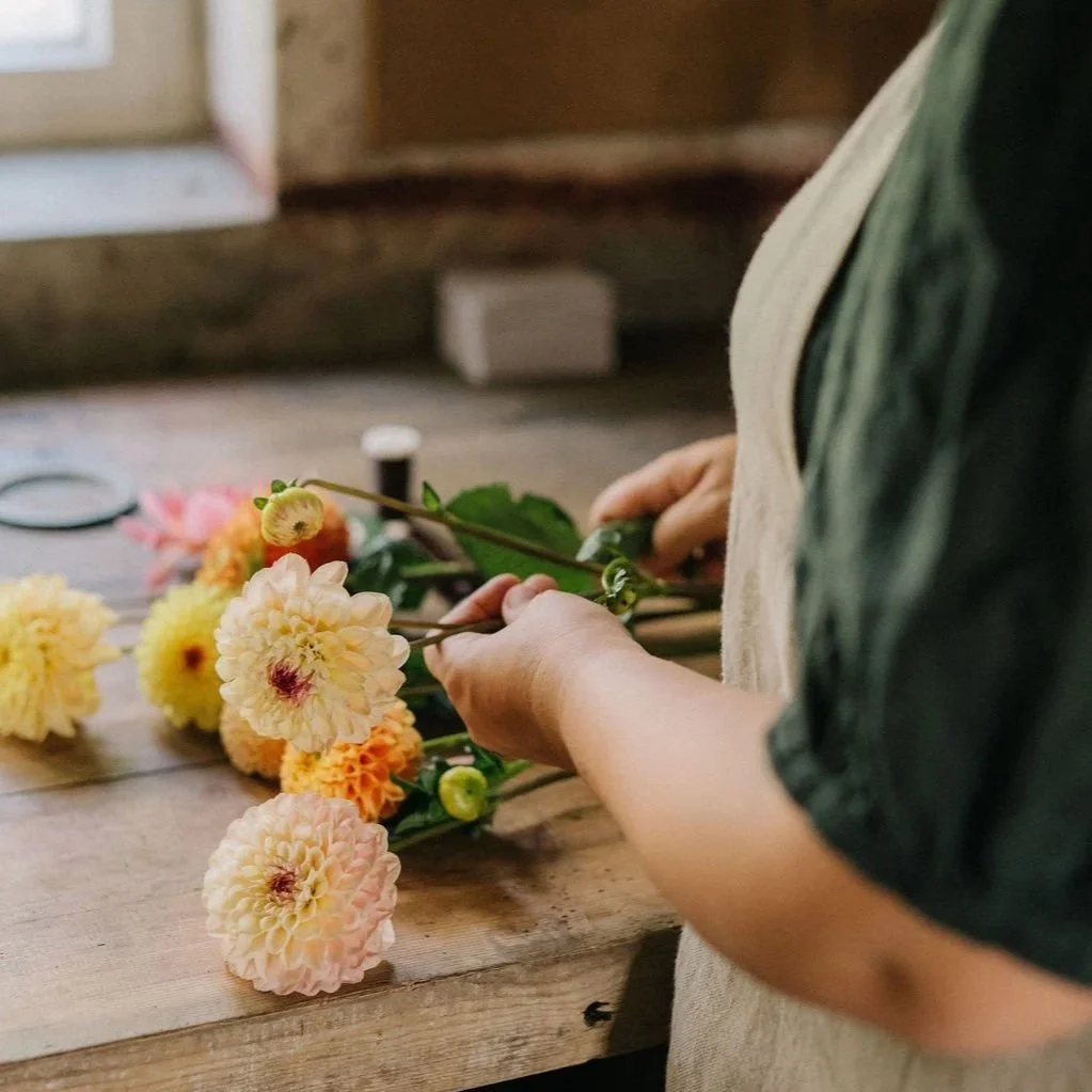 Alt="Daalia naisen kädessä"