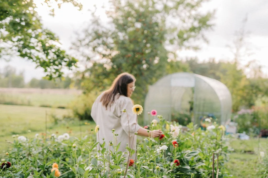 alt="Nainen kävelee kukkapellolla"