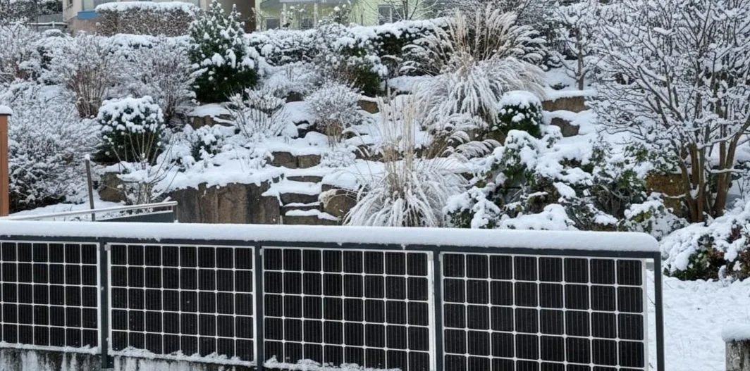 Schneebedecktes Garten mit Pflanzen, Bäumen und einer Solaranlage im Vordergrund.