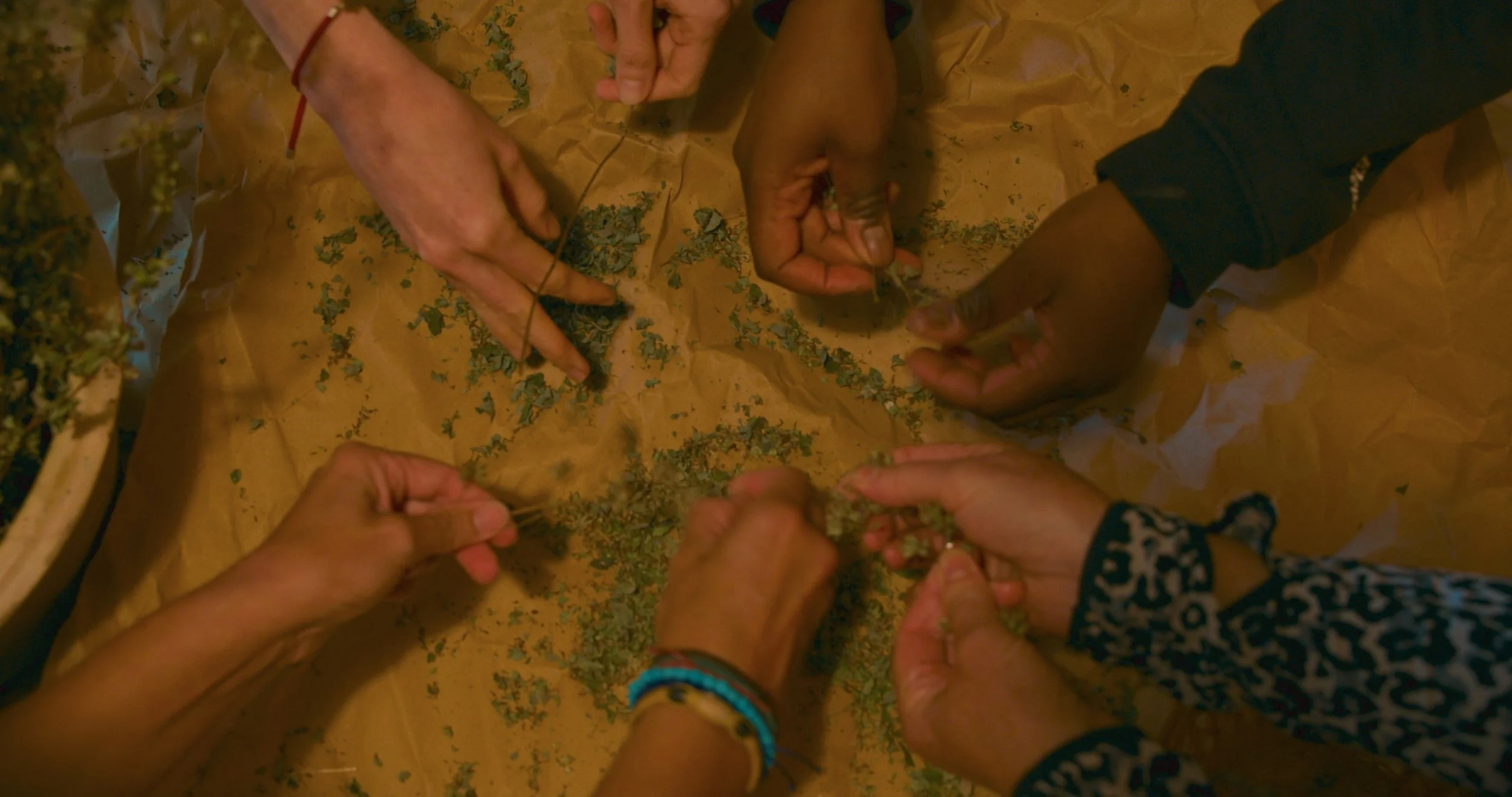 Still 2025-12-31 170225_2.13.1.jpeg