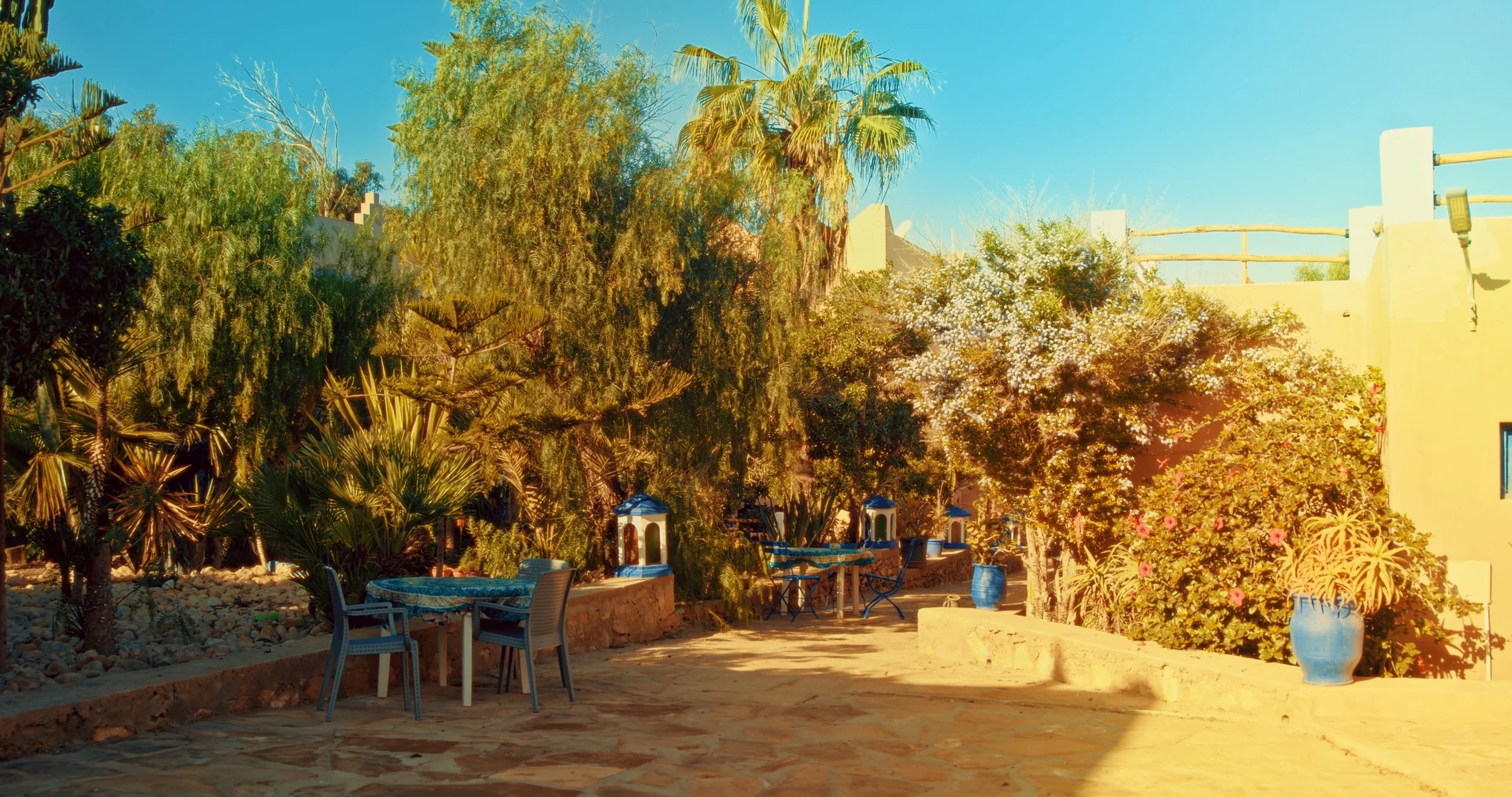 Still 2025-12-01 180006_1.4.1.jpeg